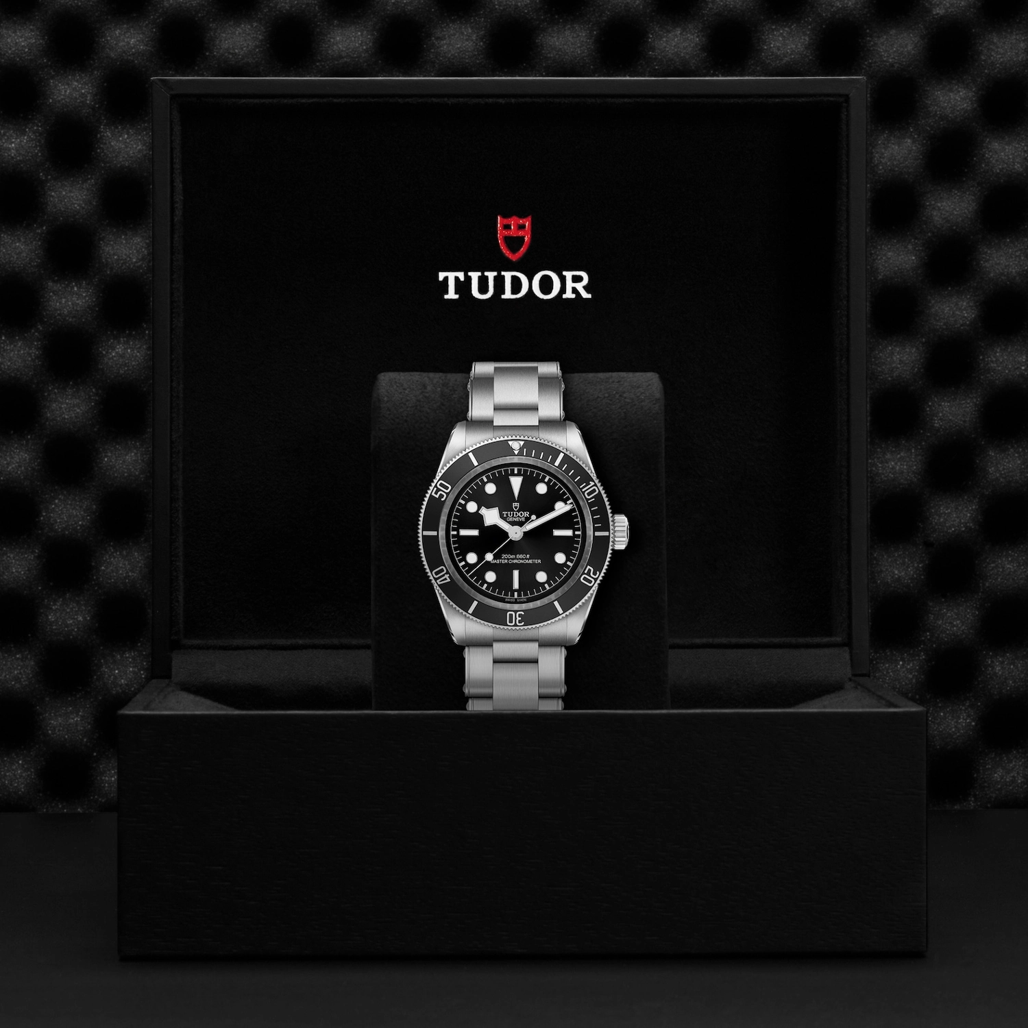 Tudor - Imagem 3