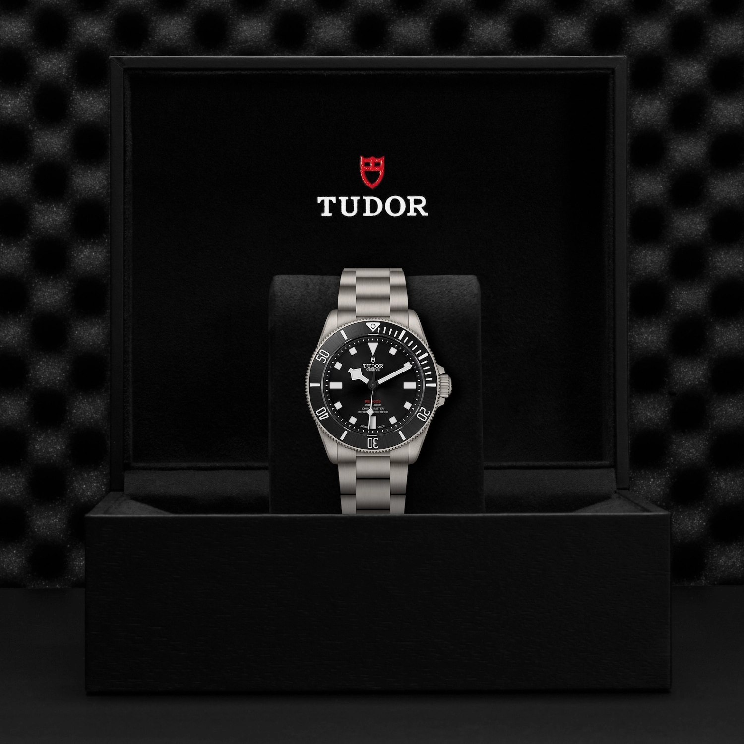 Tudor - Imagem 5