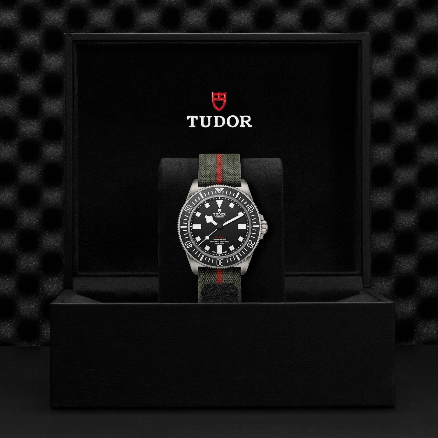 Tudor - Imagem 5