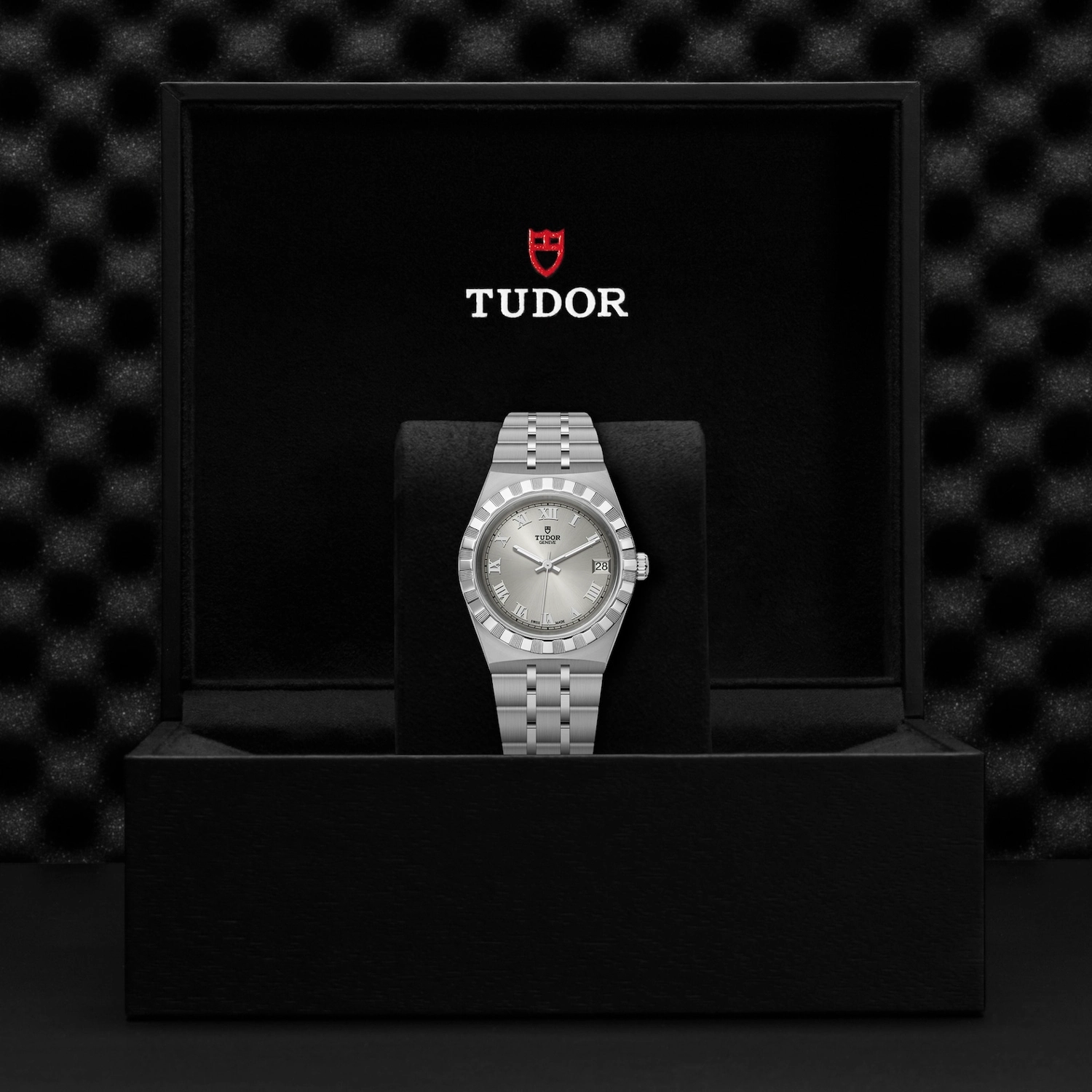 Tudor - Imagem 4
