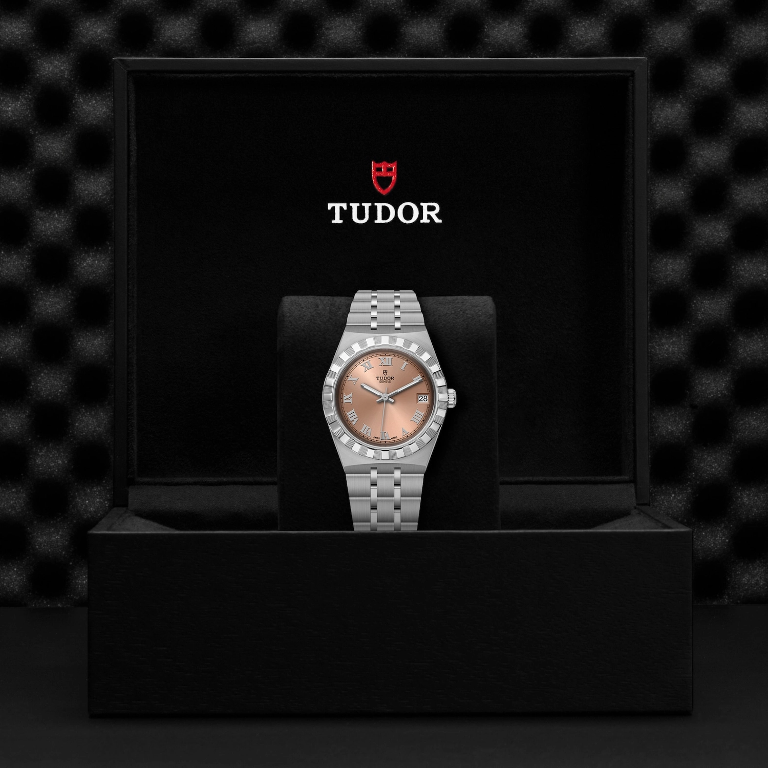 Tudor - Imagem 5