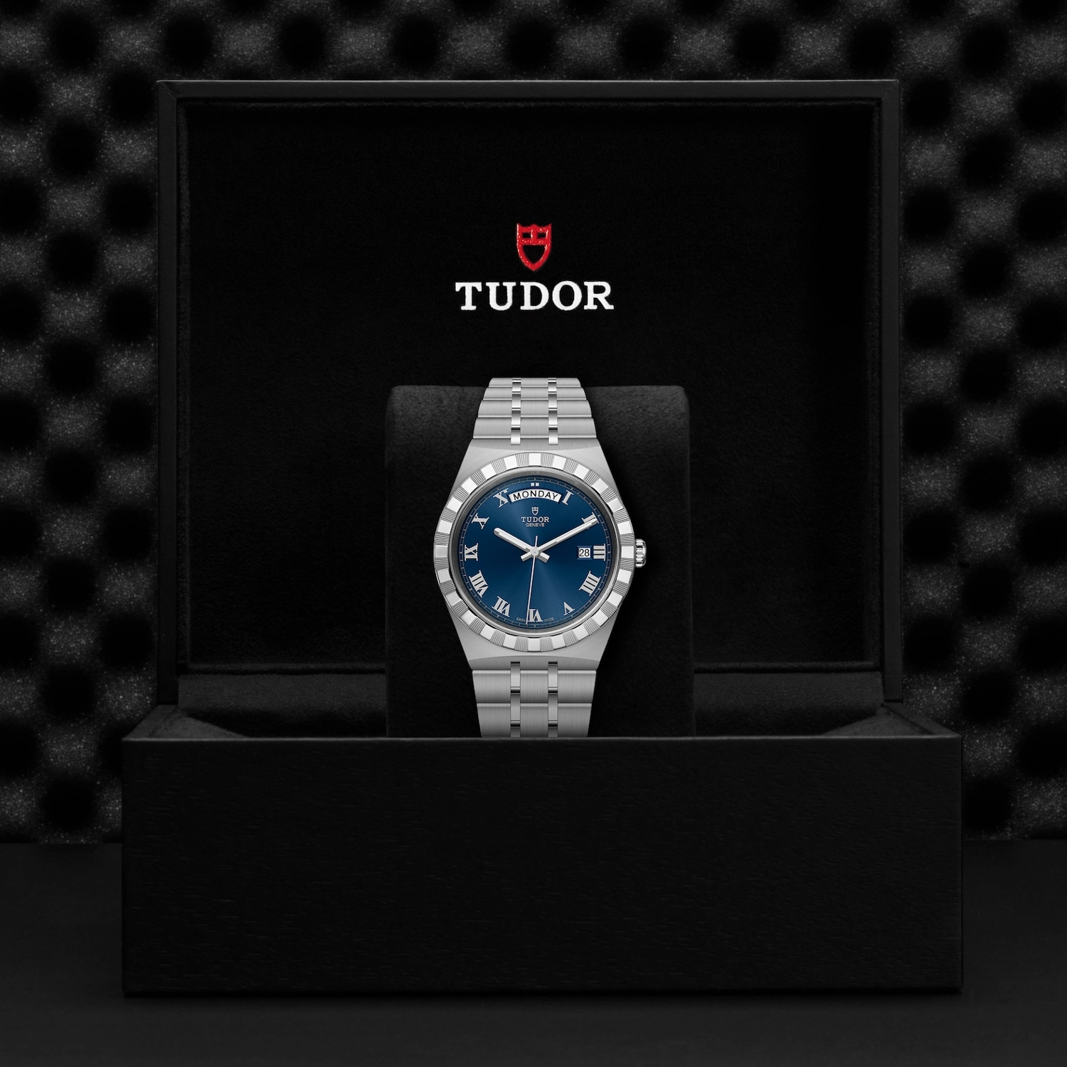 Tudor - Imagem 5