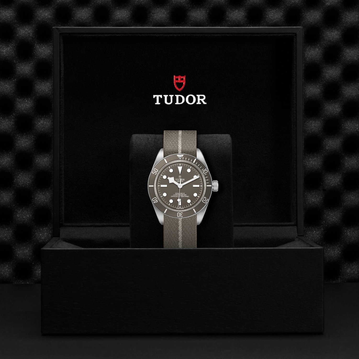 Tudor - Imagem 5