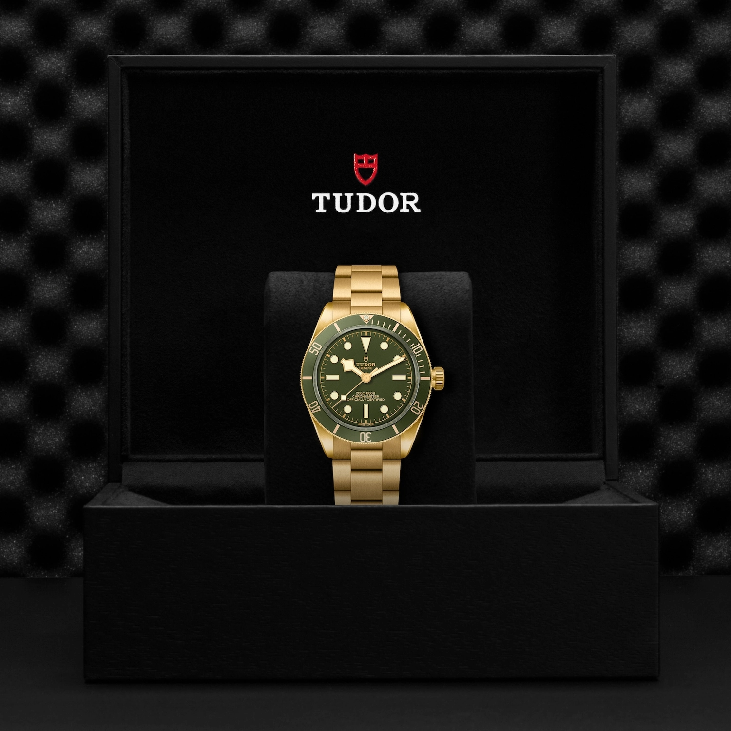 Tudor - Imagem 5