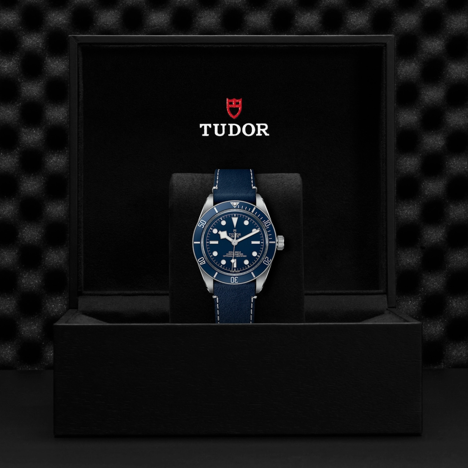 Tudor - Imagem 5