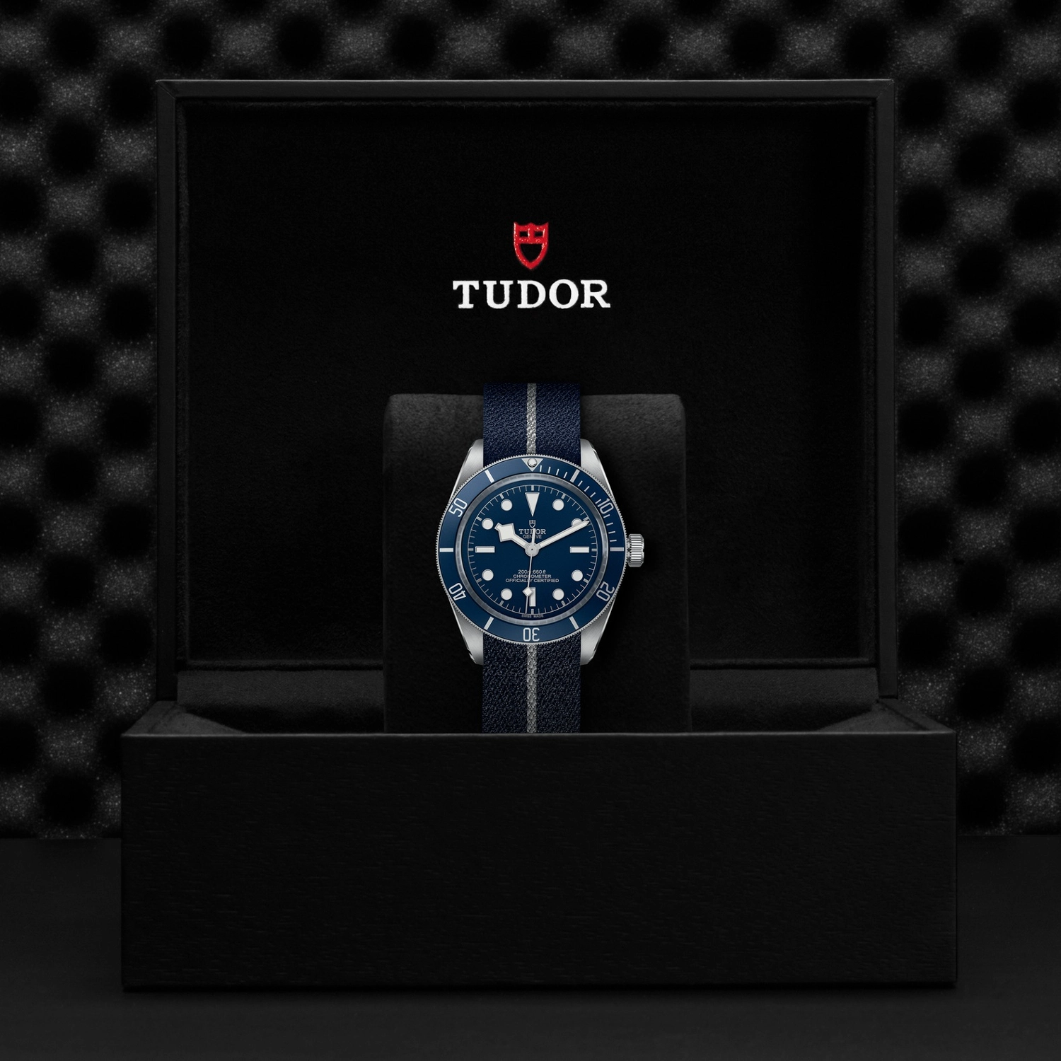Tudor - Imagem 5