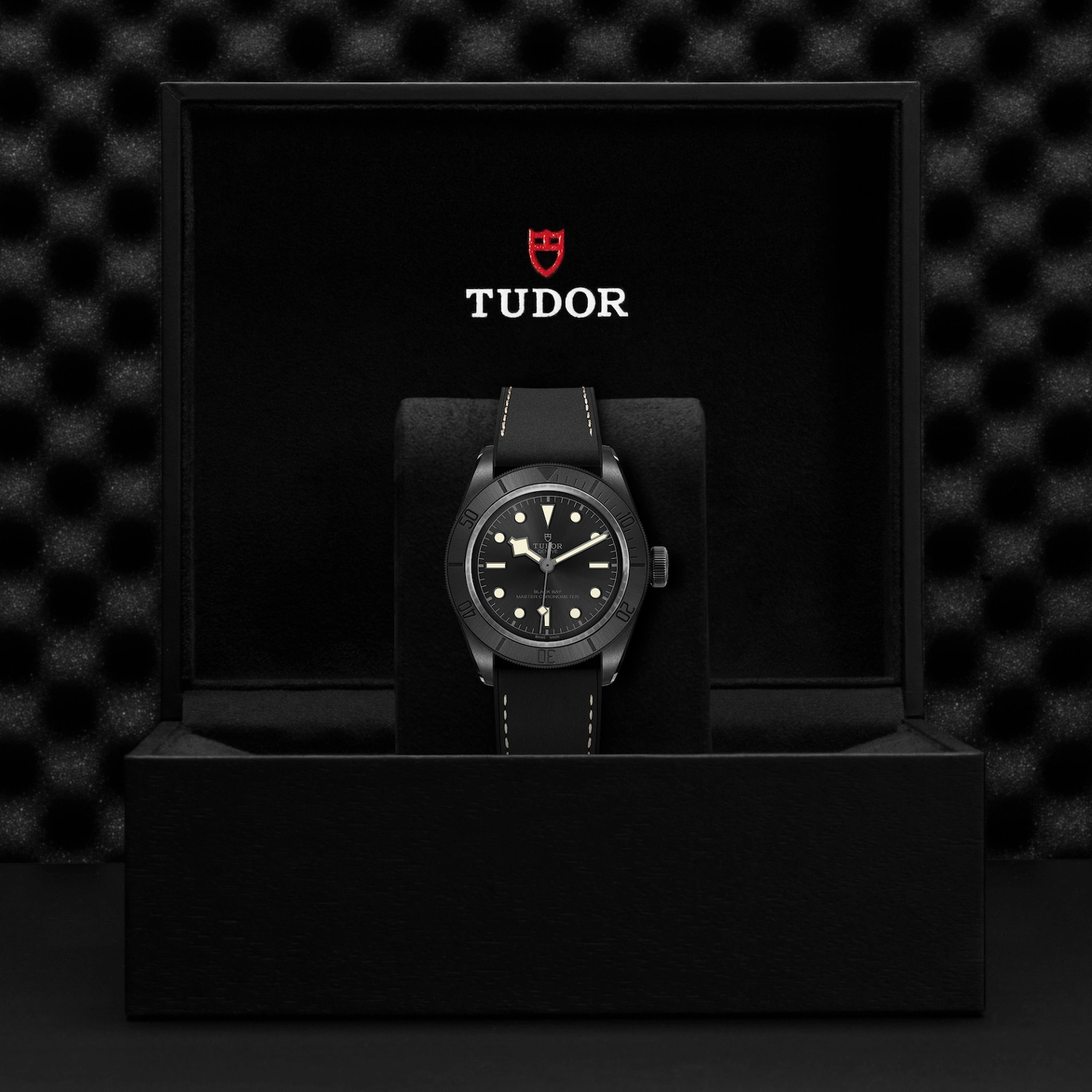 Tudor - Imagem 5