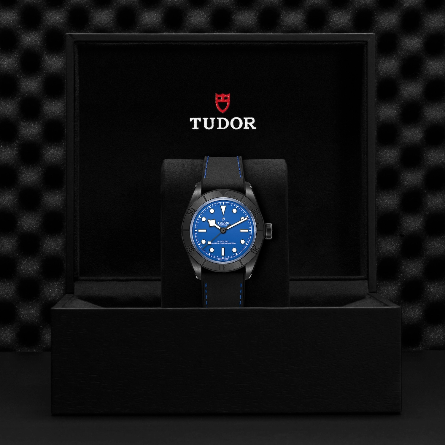 Tudor - Imagem 5