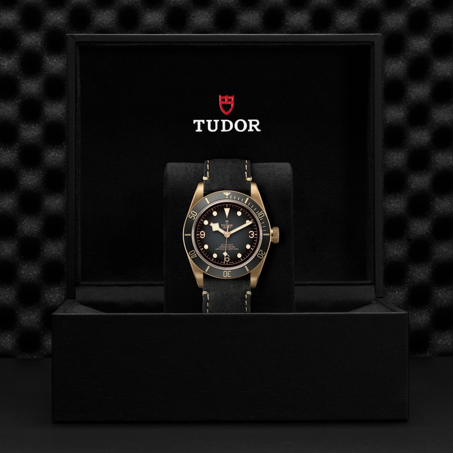 Tudor - Imagem 5