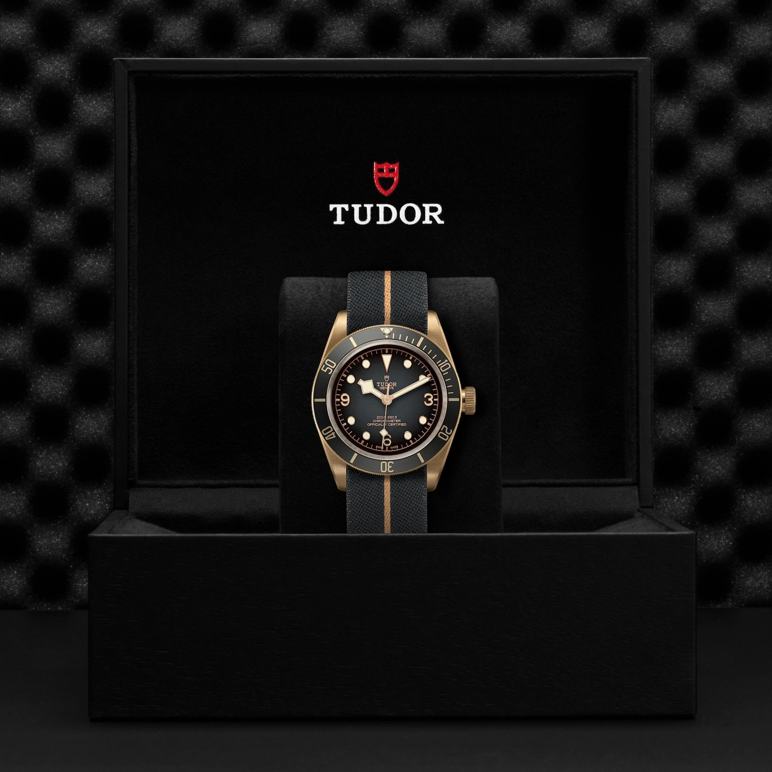 Tudor - Imagem 5