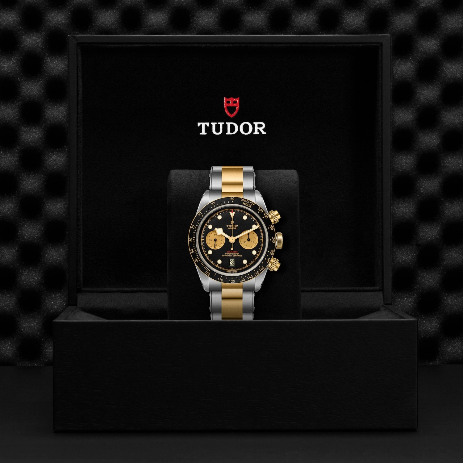 Tudor - Imagem 5