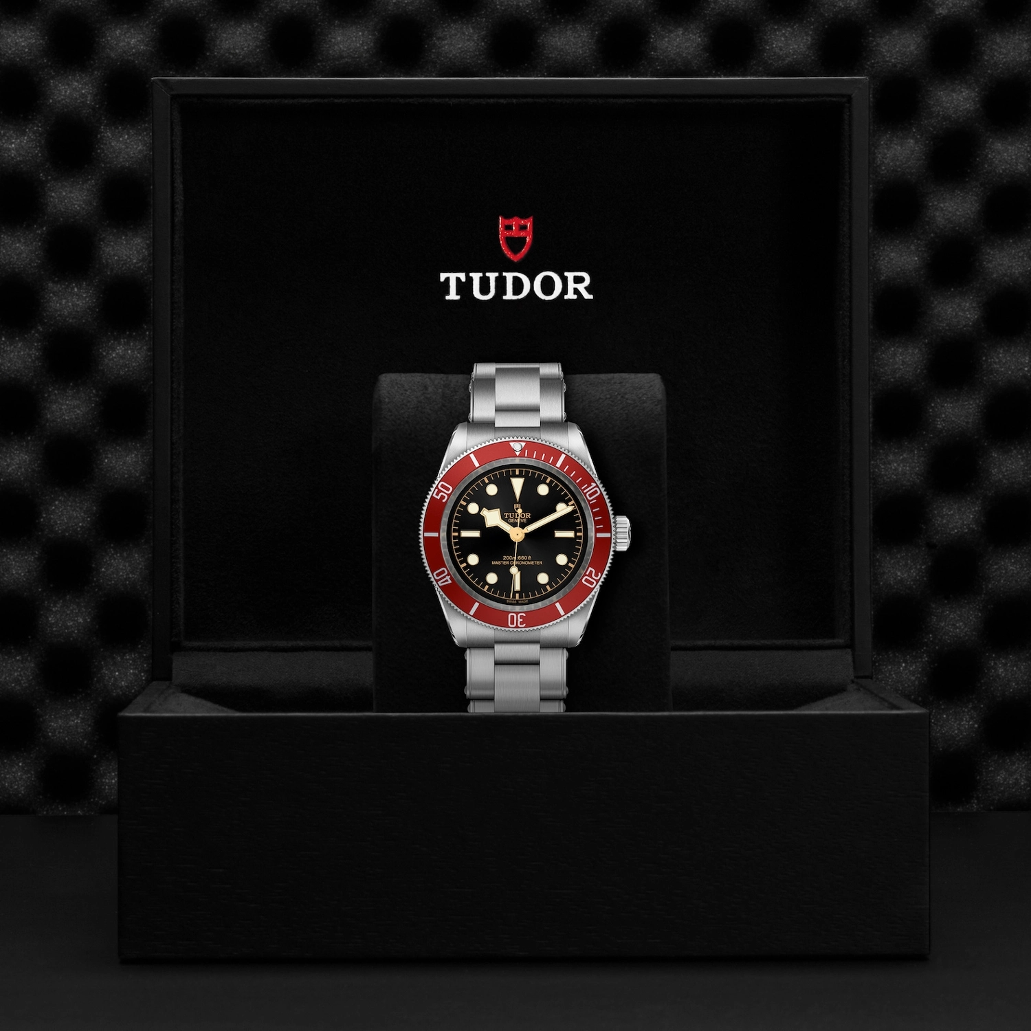 Tudor - Imagem 5