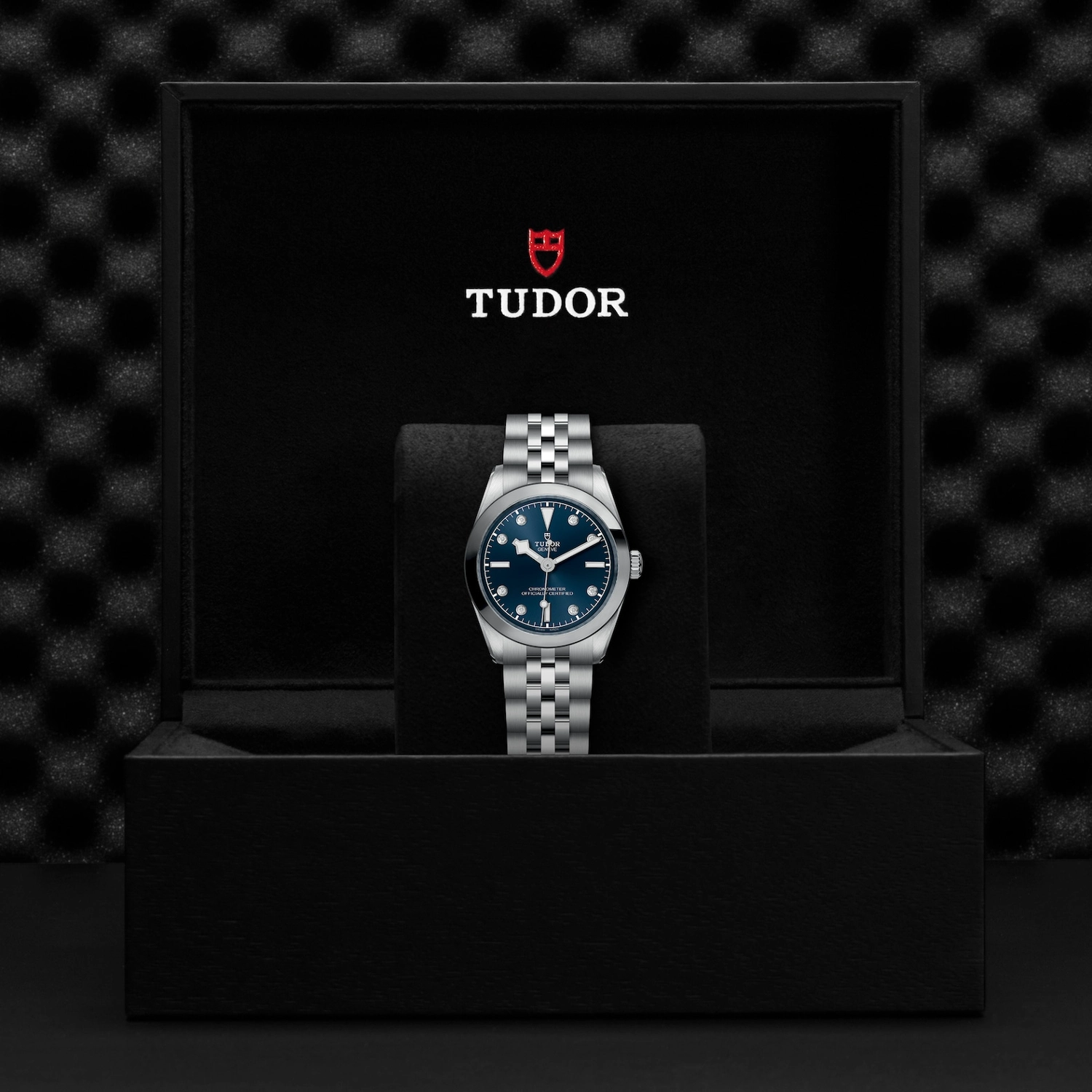 Tudor - Imagem 5