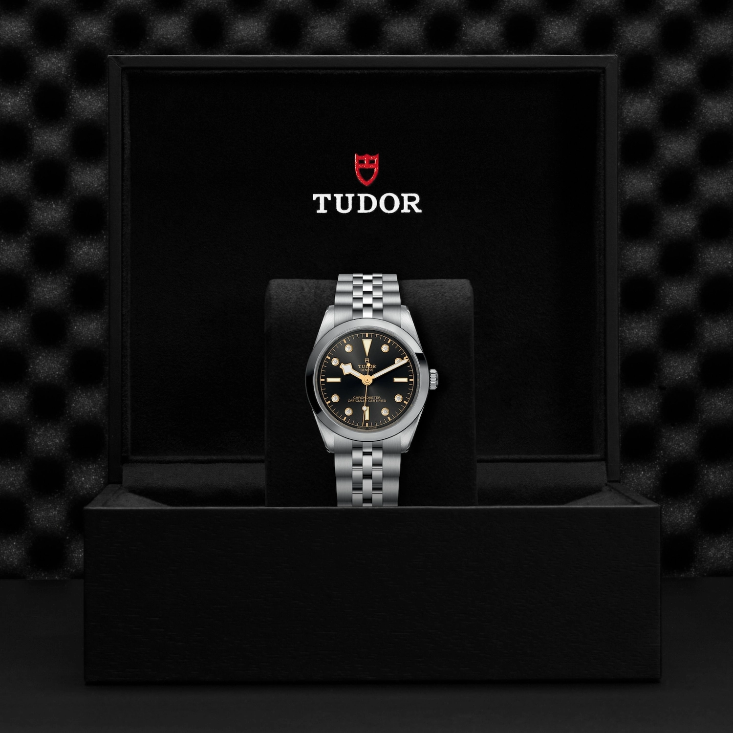 Tudor - Imagem 5