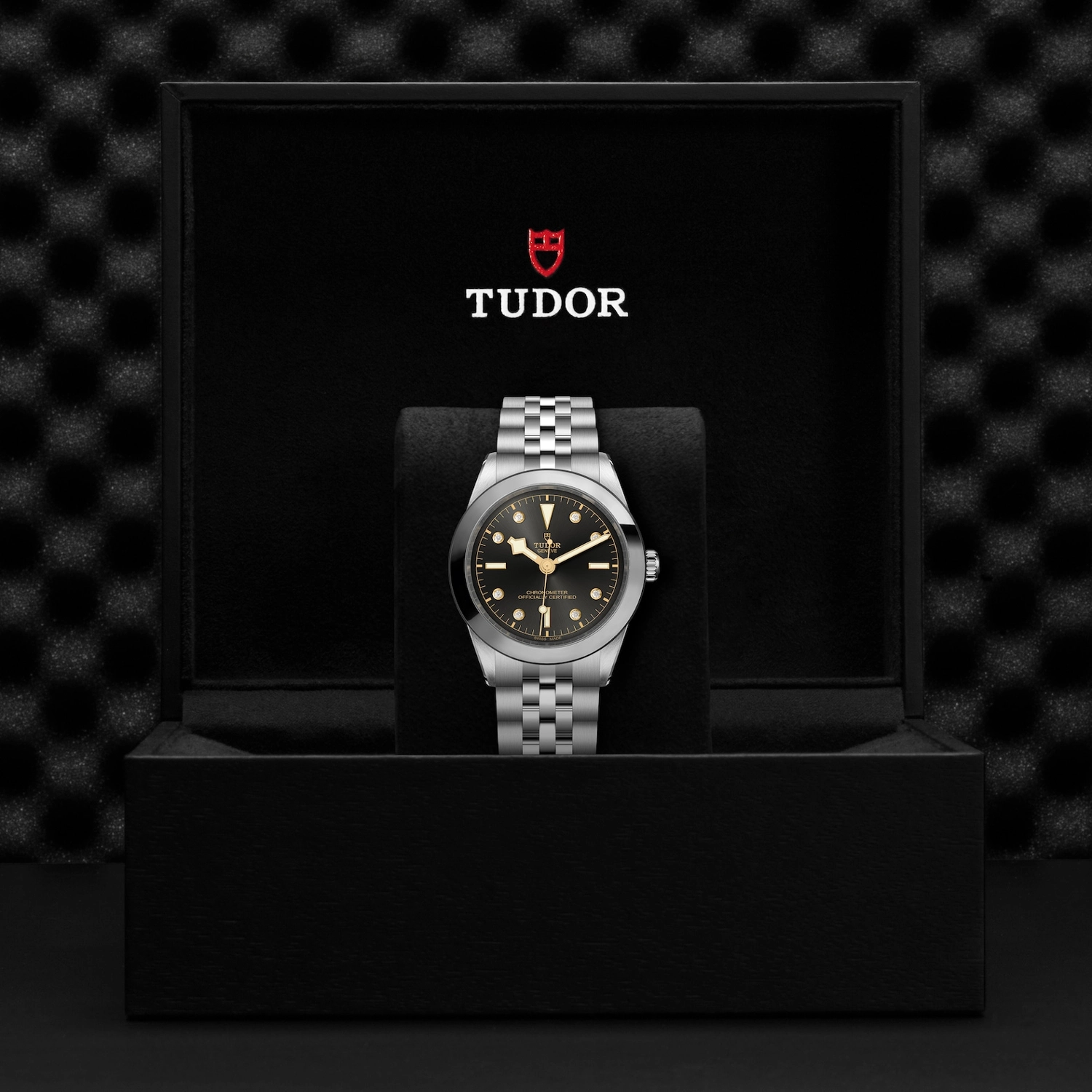 Tudor - Imagem 5