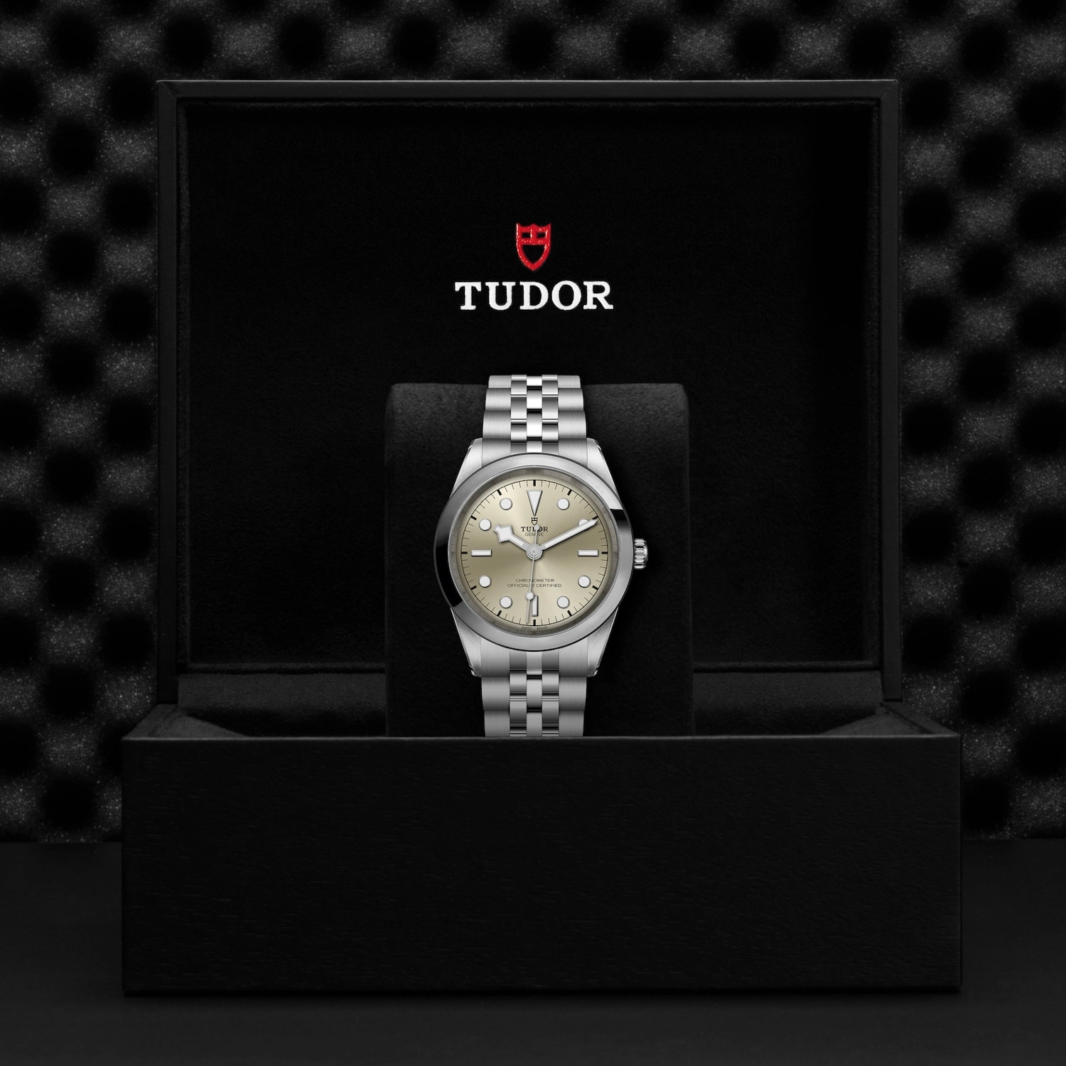 Tudor - Imagem 5