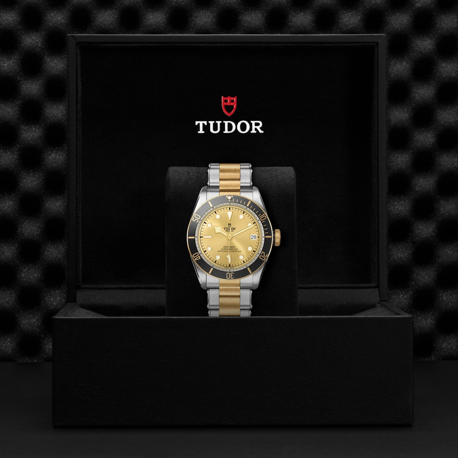 Tudor - Imagem 5