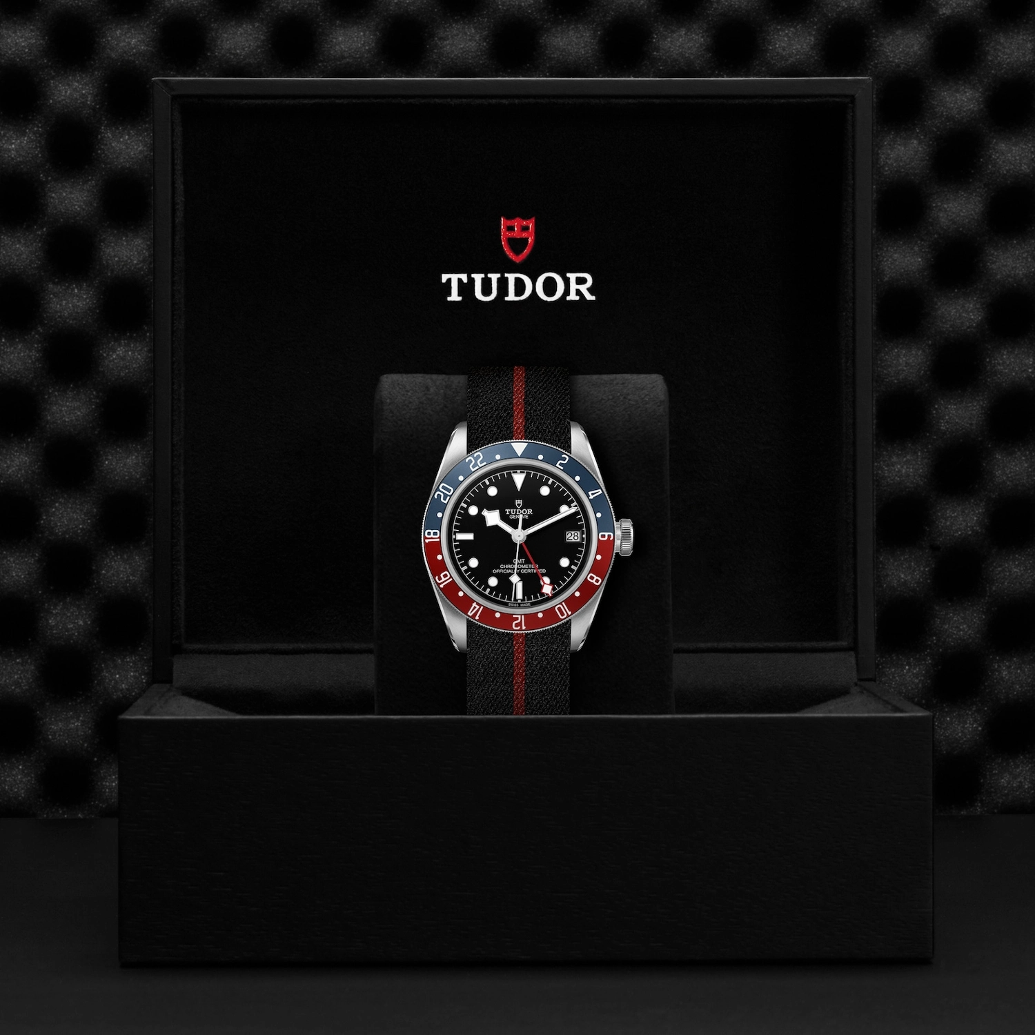 Tudor - Imagem 5