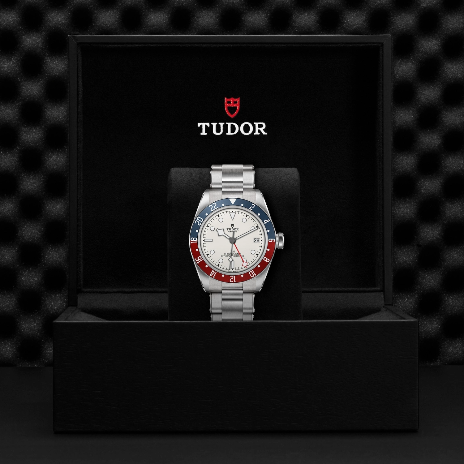 Tudor - Imagem 5