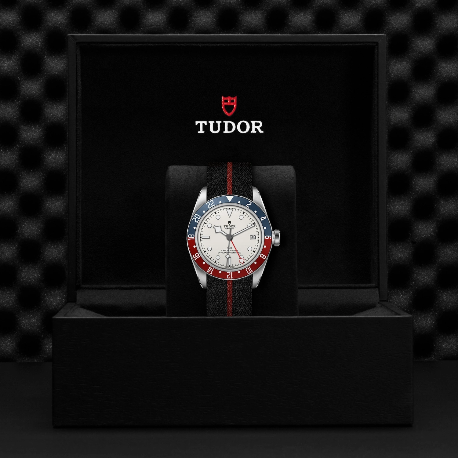 Tudor - Imagem 5
