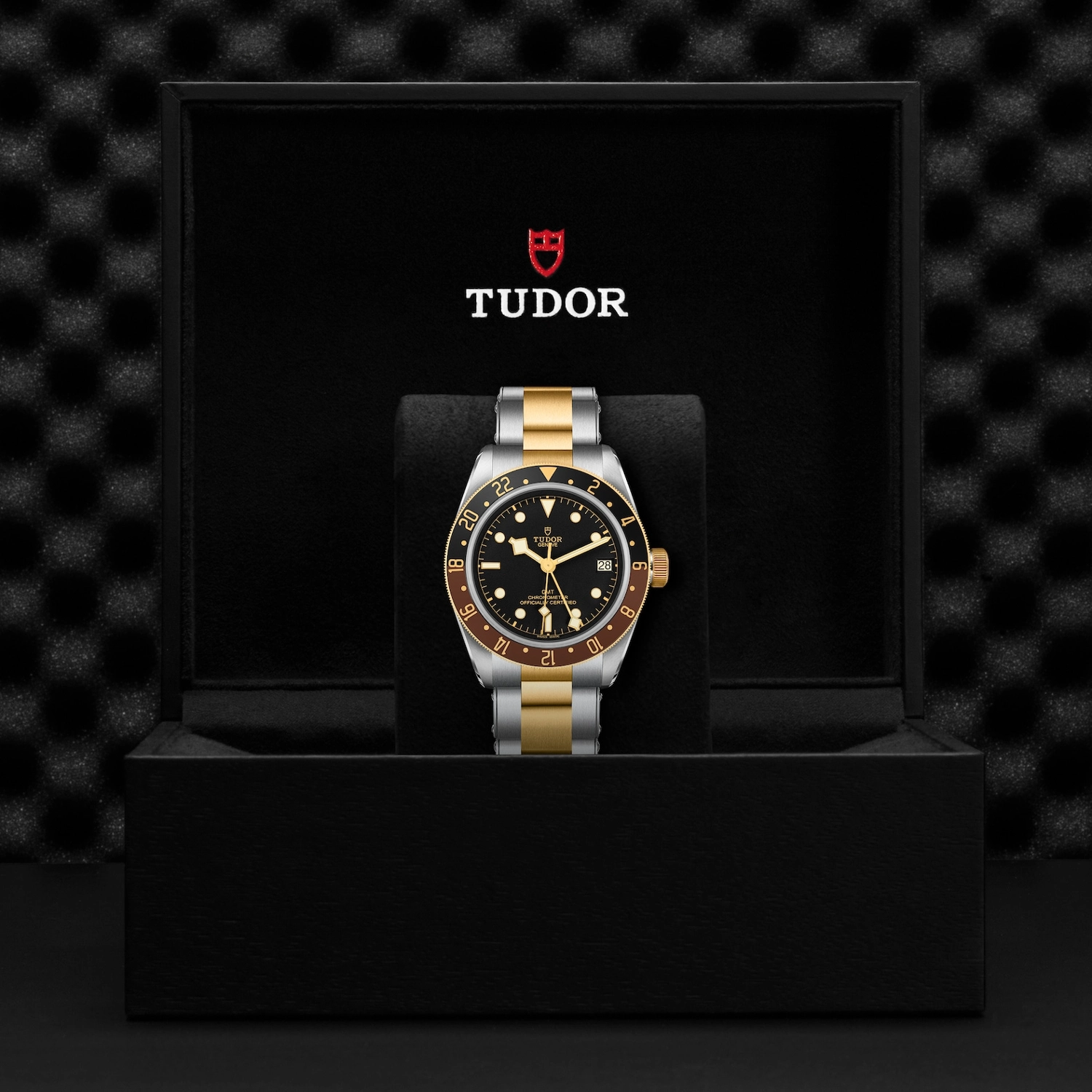Tudor - Imagem 5