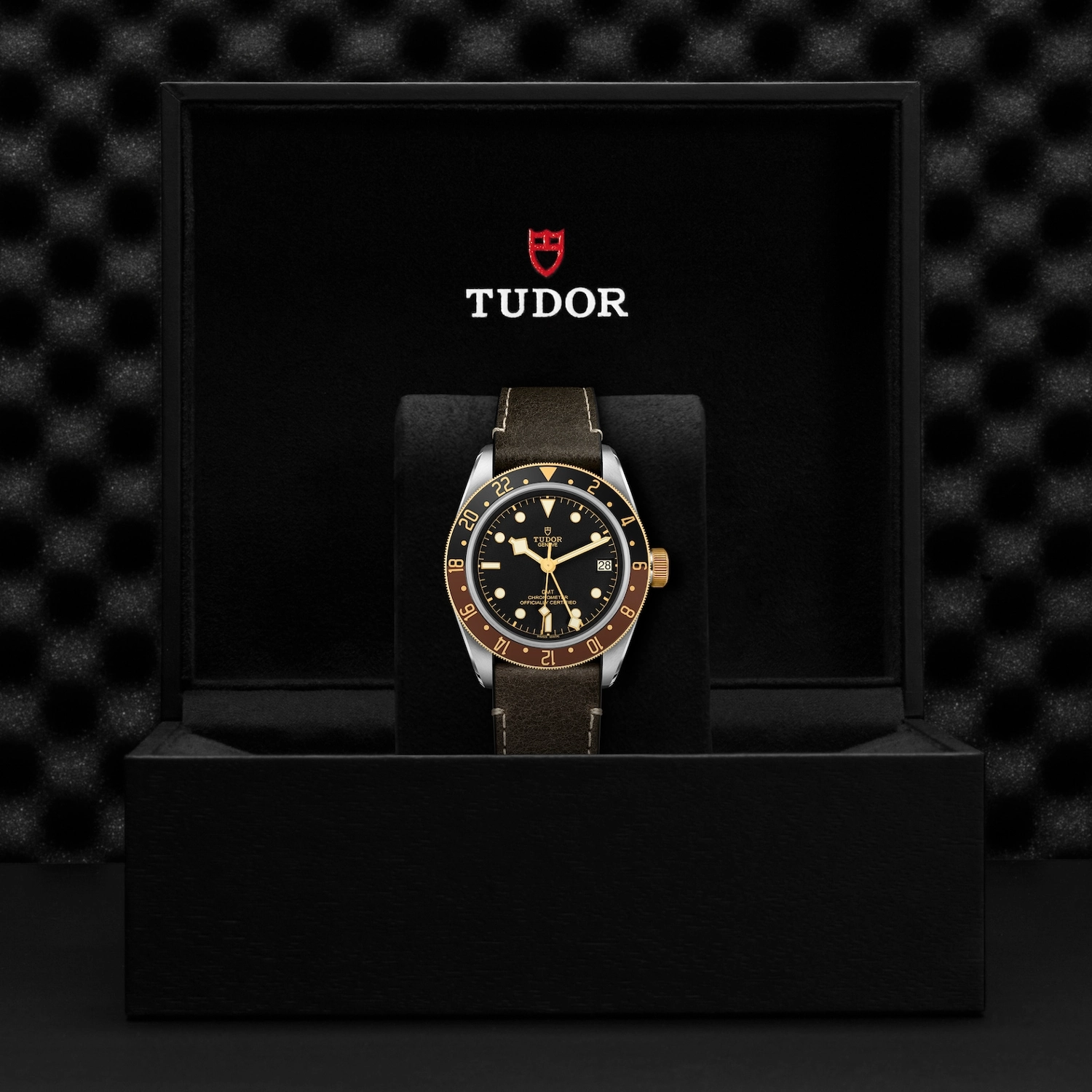 Tudor - Imagem 5