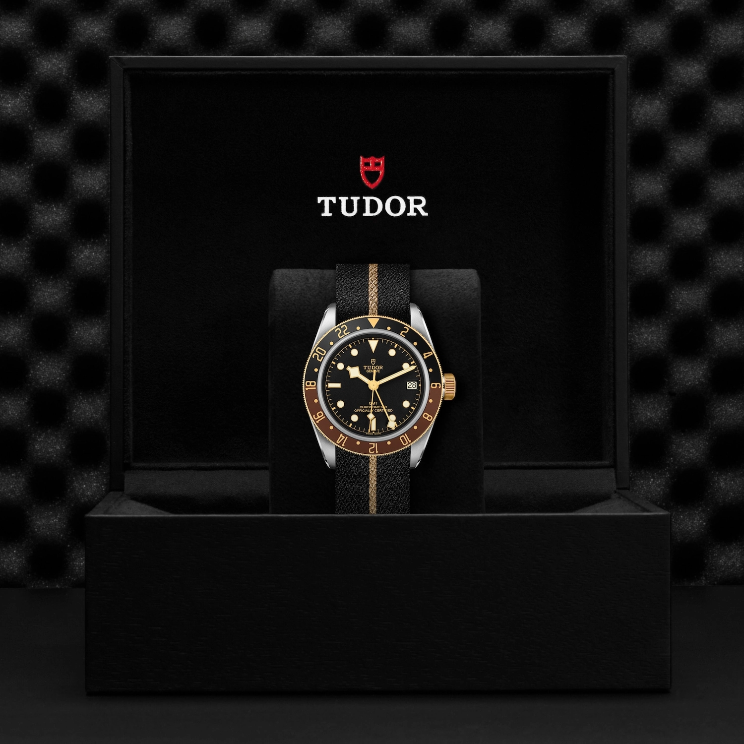 Tudor - Imagem 5