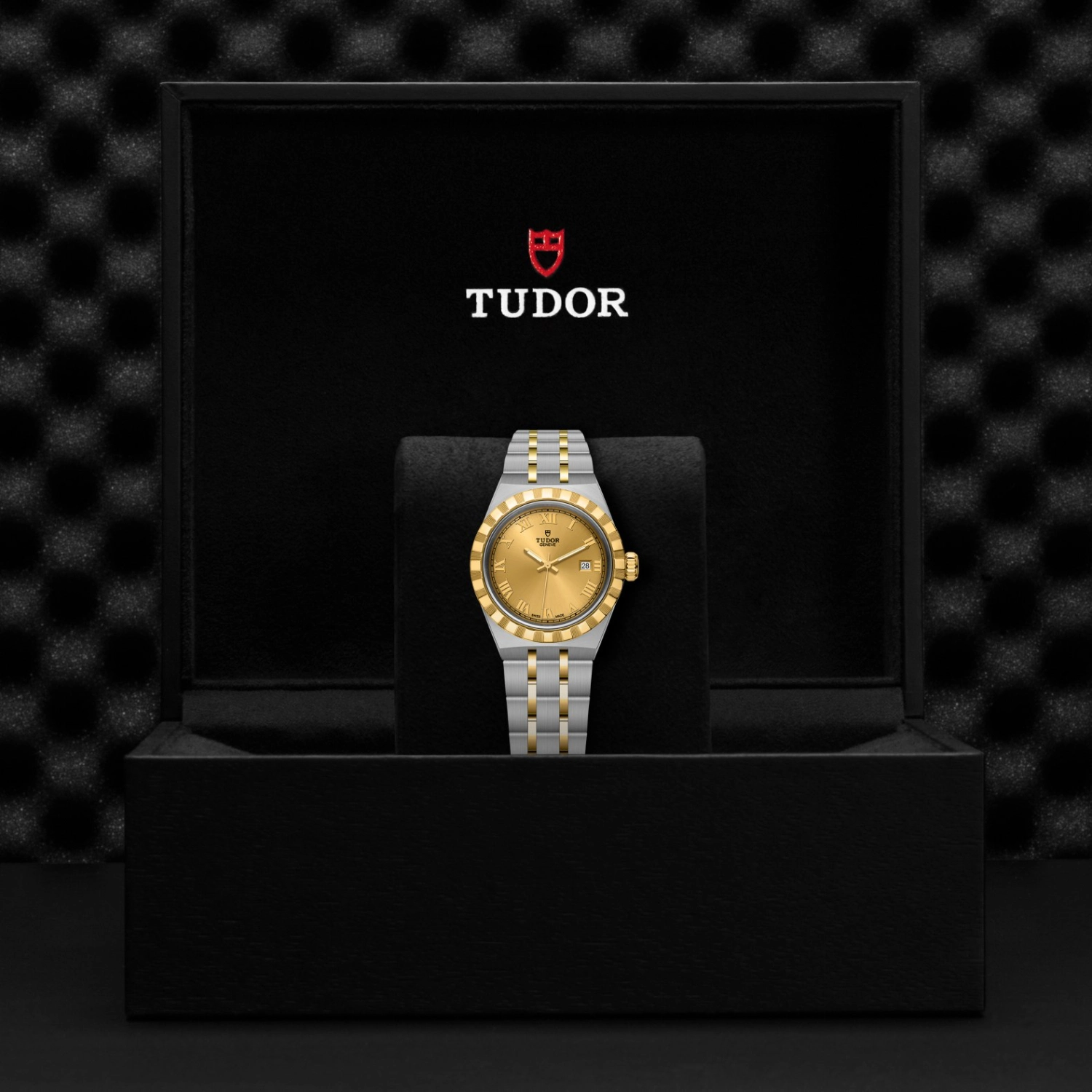 Tudor - Imagem 5