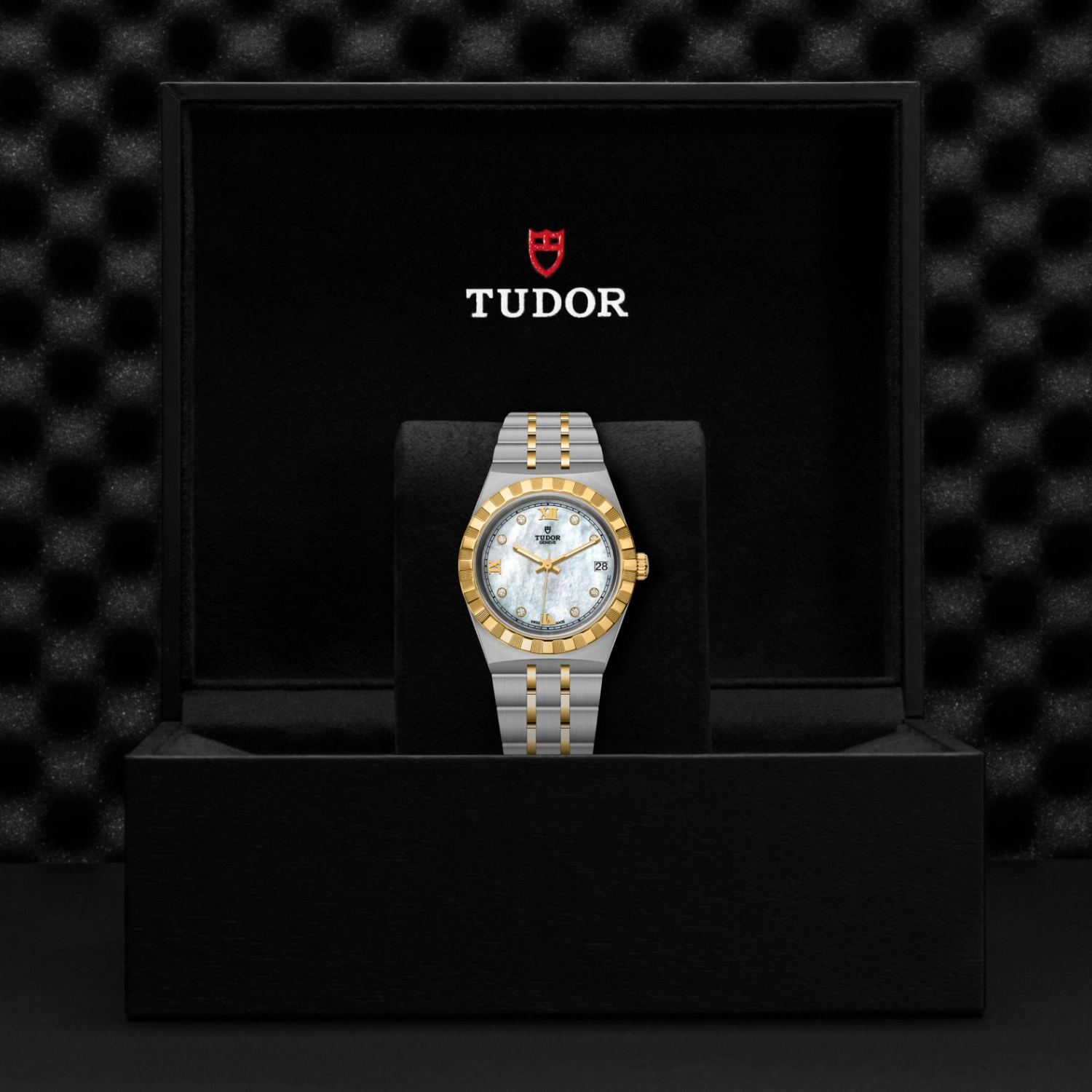 Tudor - Imagem 5