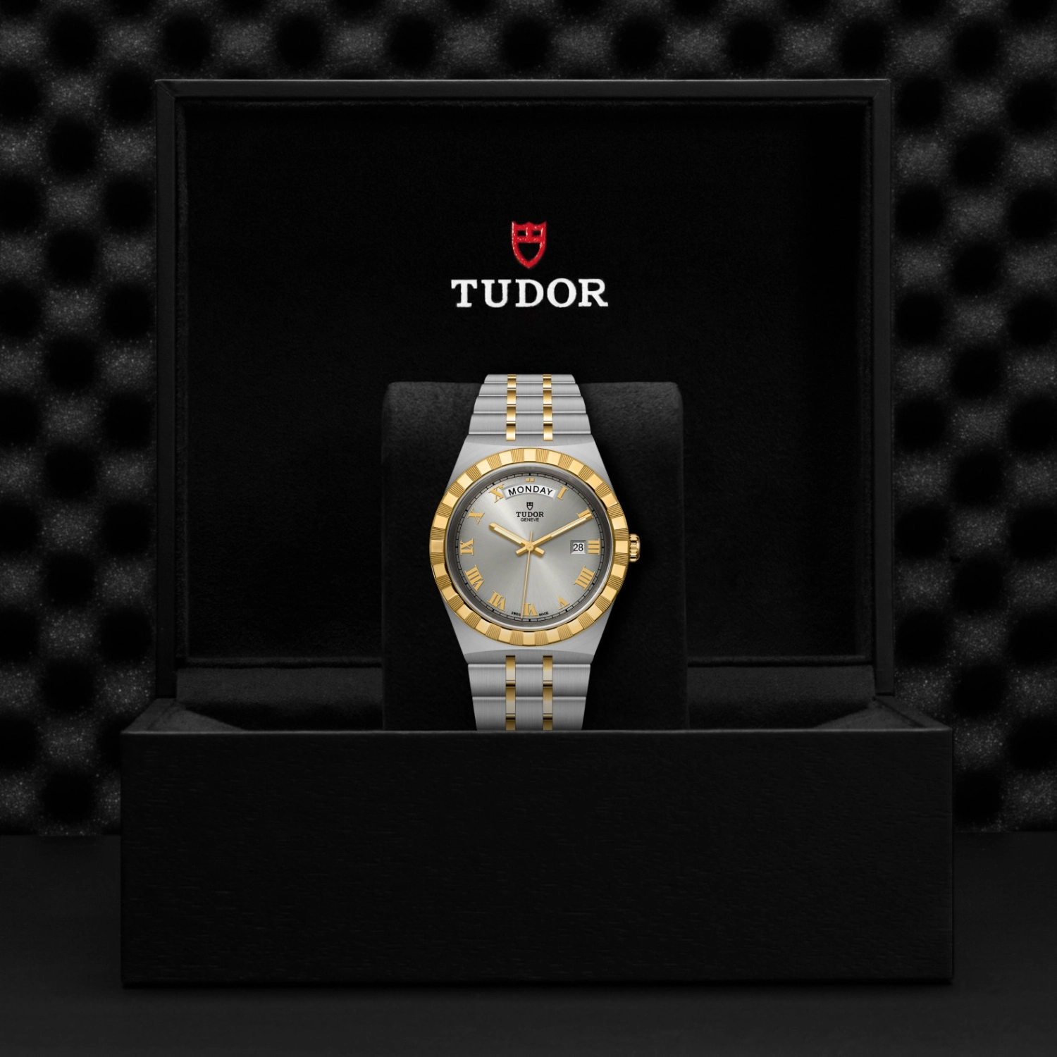 Tudor - Imagem 5