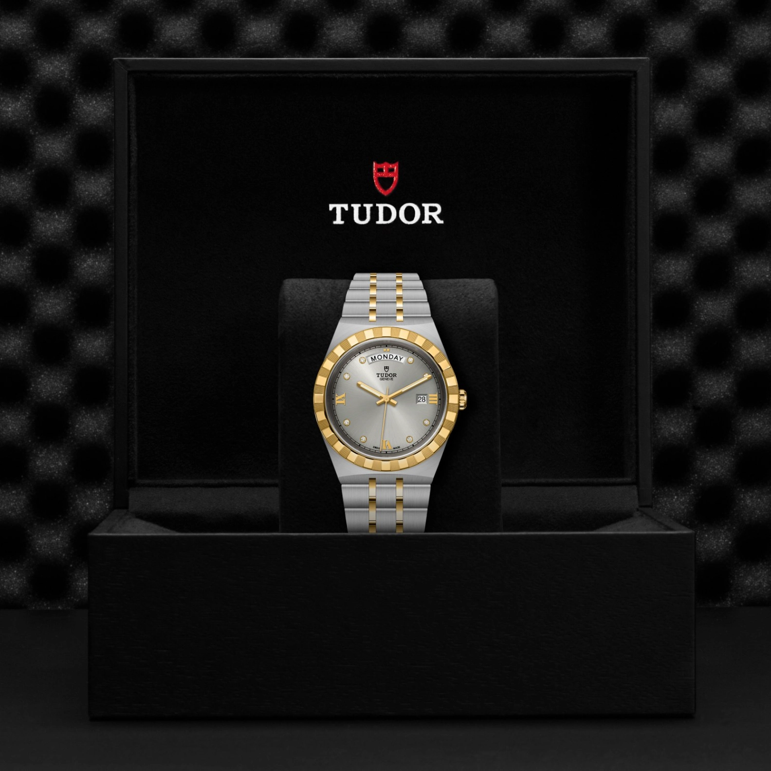 Tudor - Imagem 5