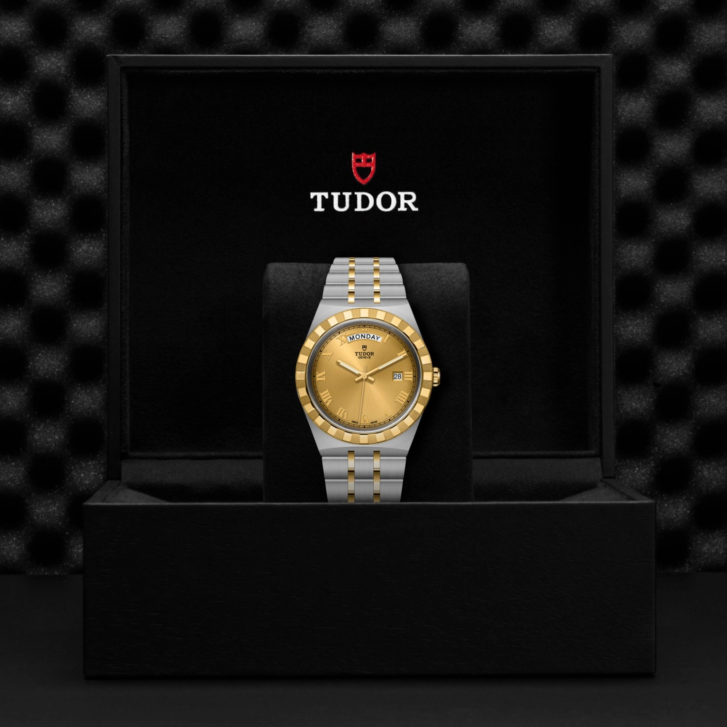 Tudor - Imagem 5