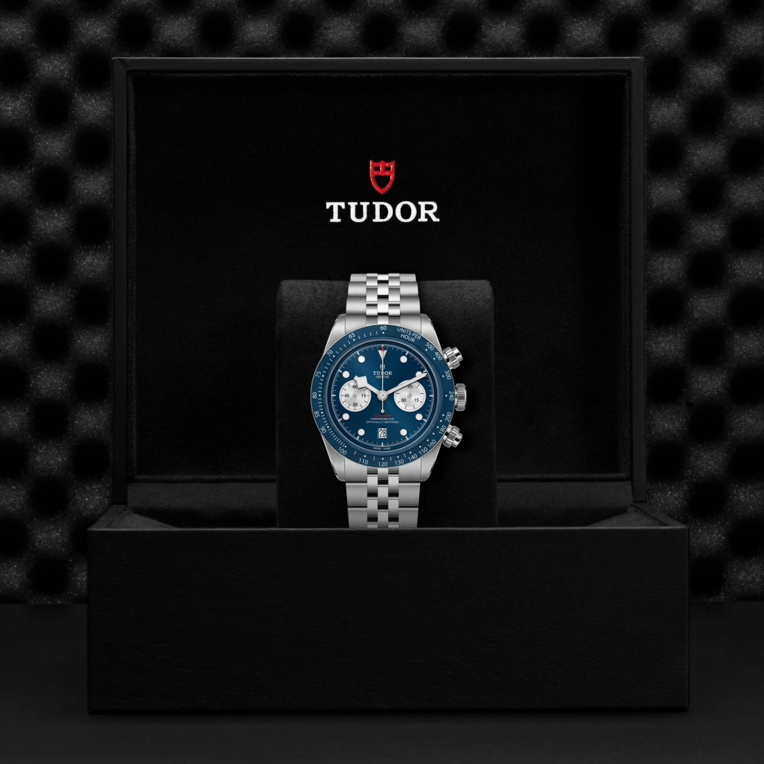 Tudor - Imagem 5
