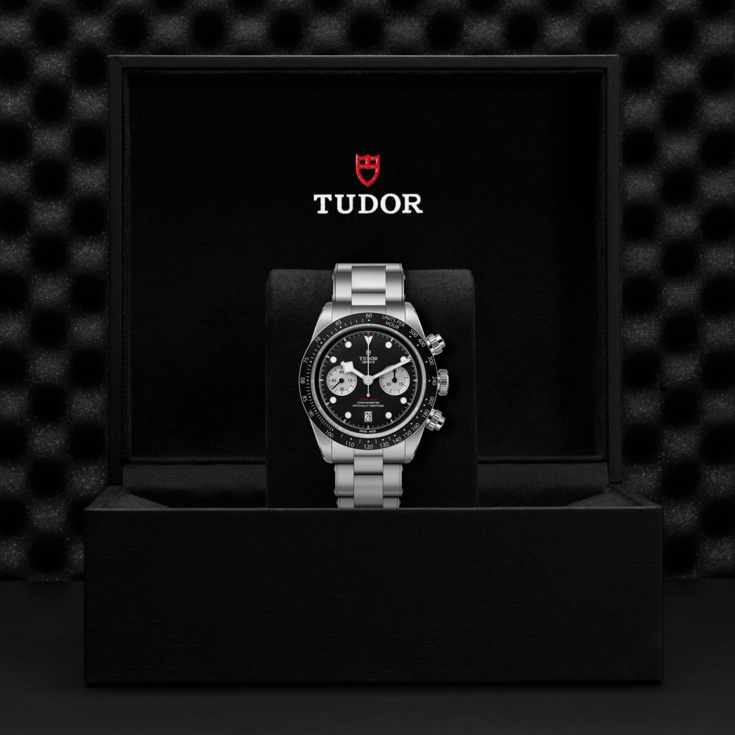 Tudor - Imagem 5