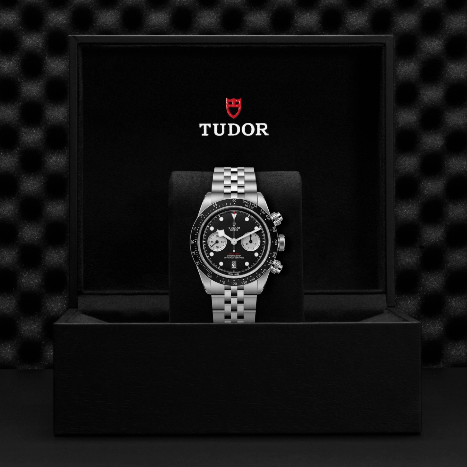 Tudor - Imagem 5