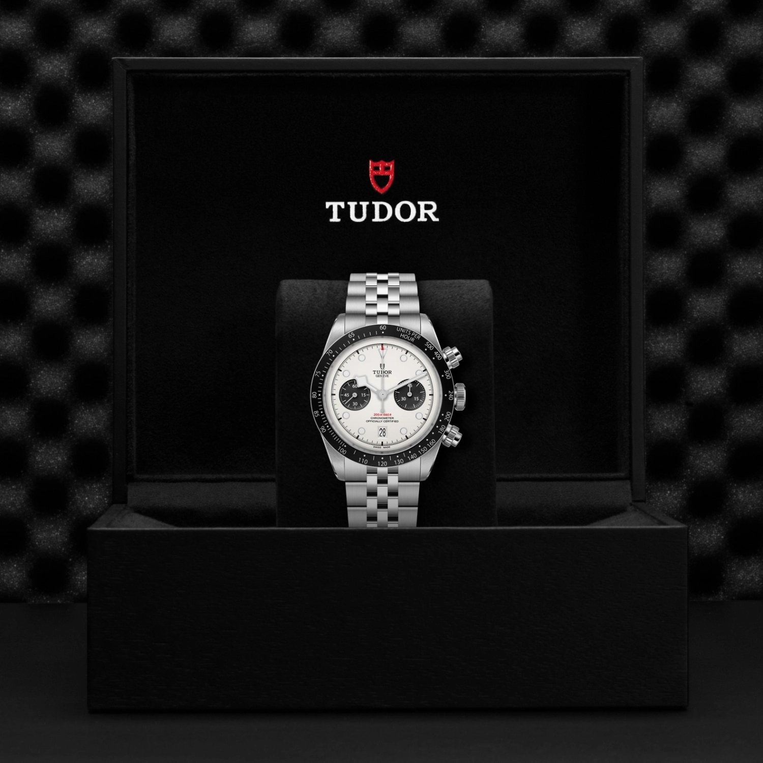 Tudor - Imagem 5