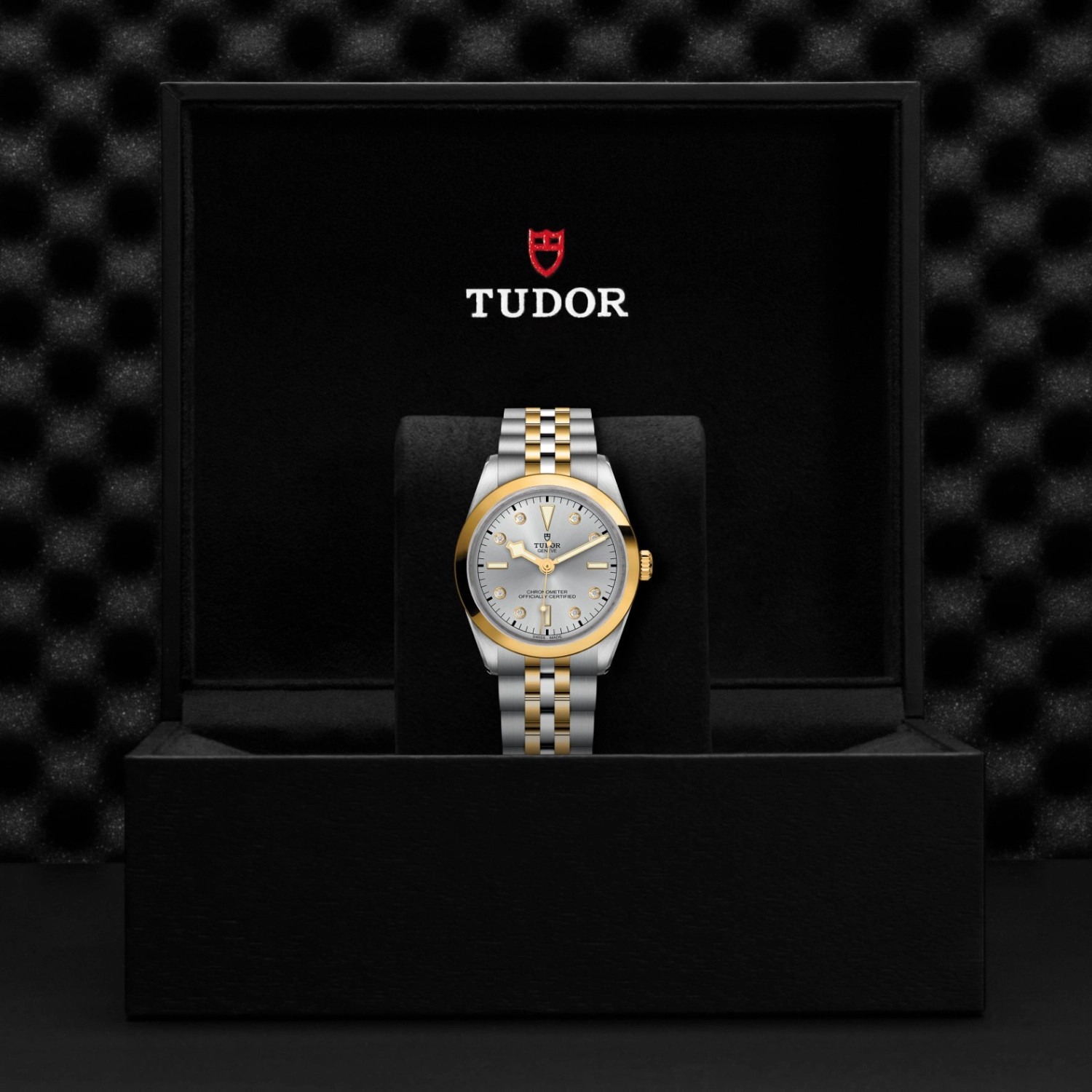 Tudor - Imagem 5