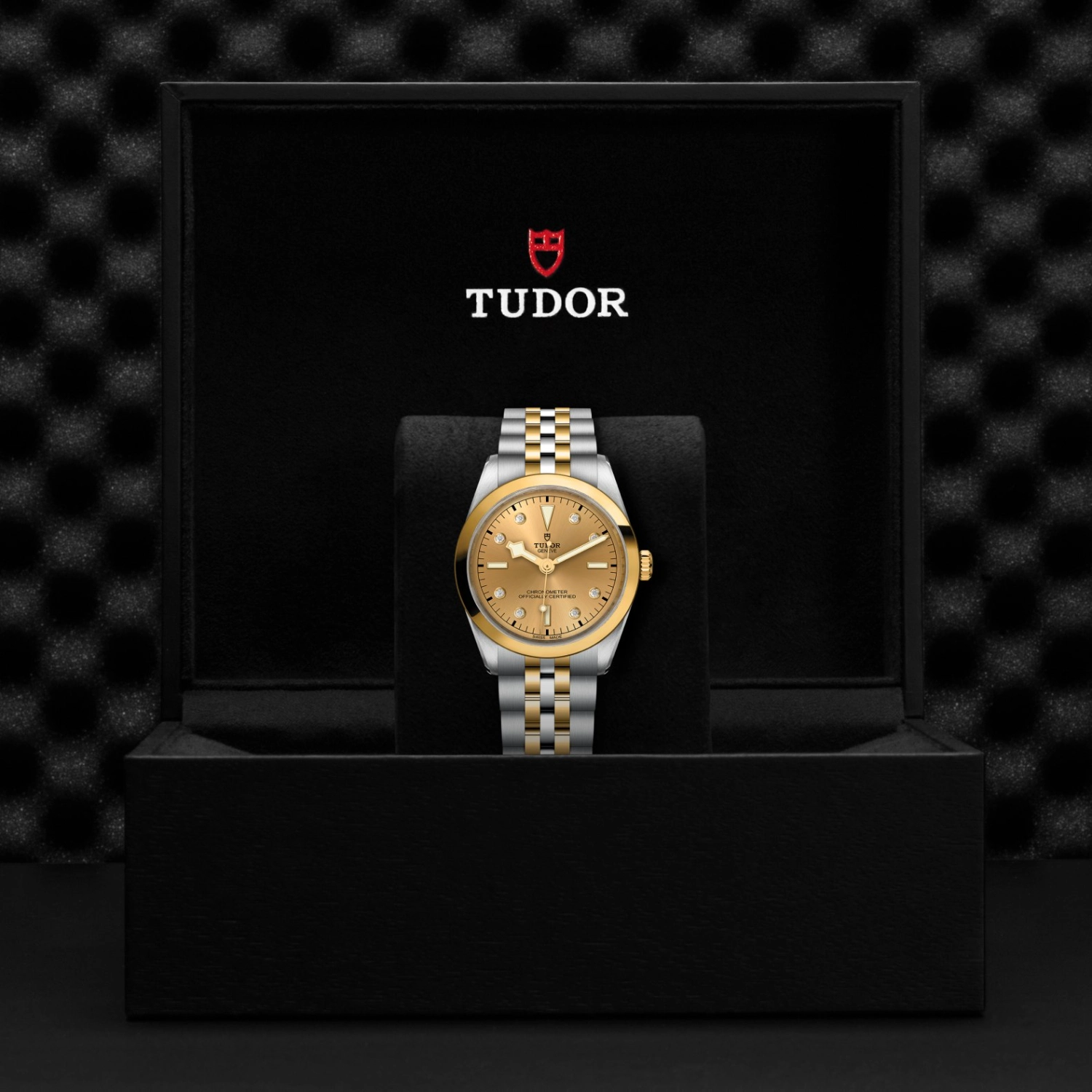 Tudor - Imagem 5