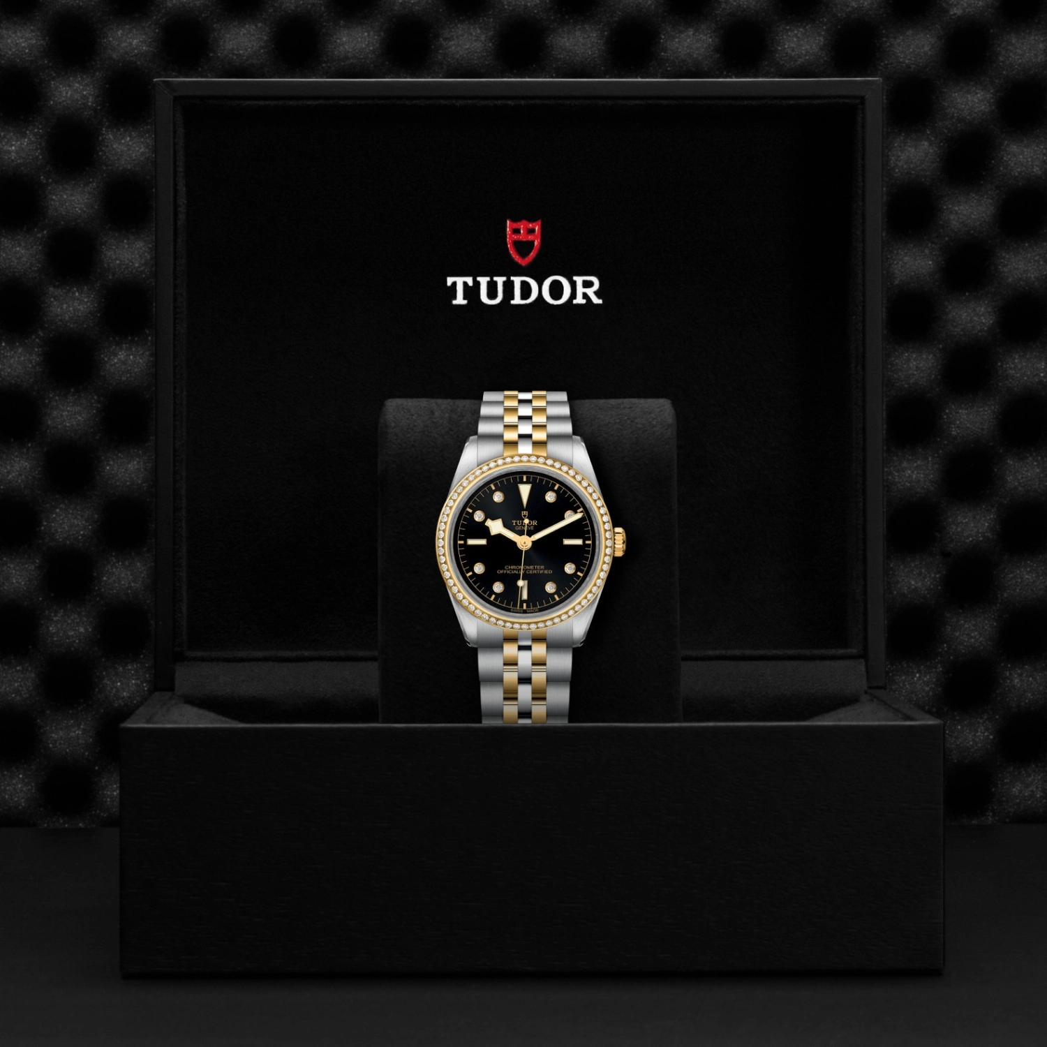 Tudor - Imagem 5