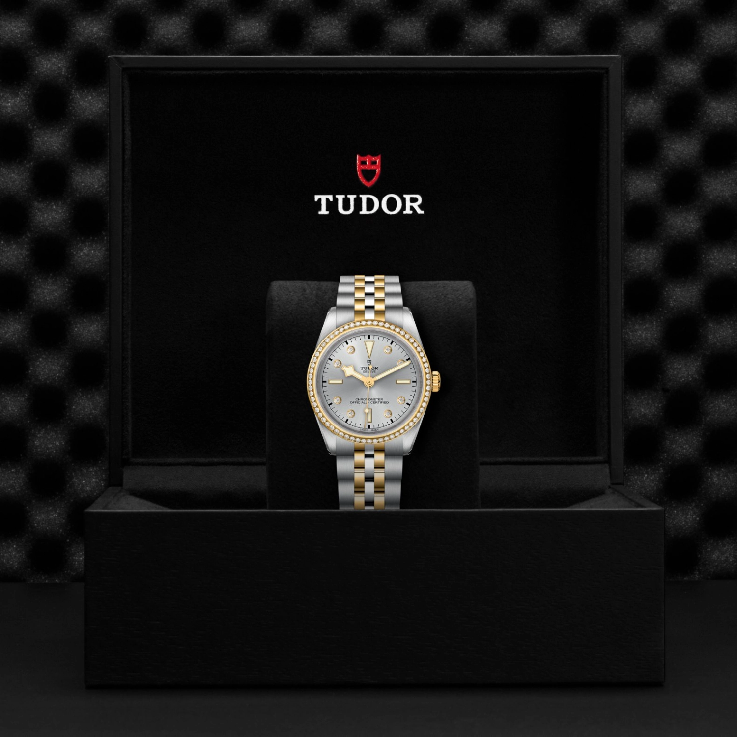 Tudor - Imagem 5