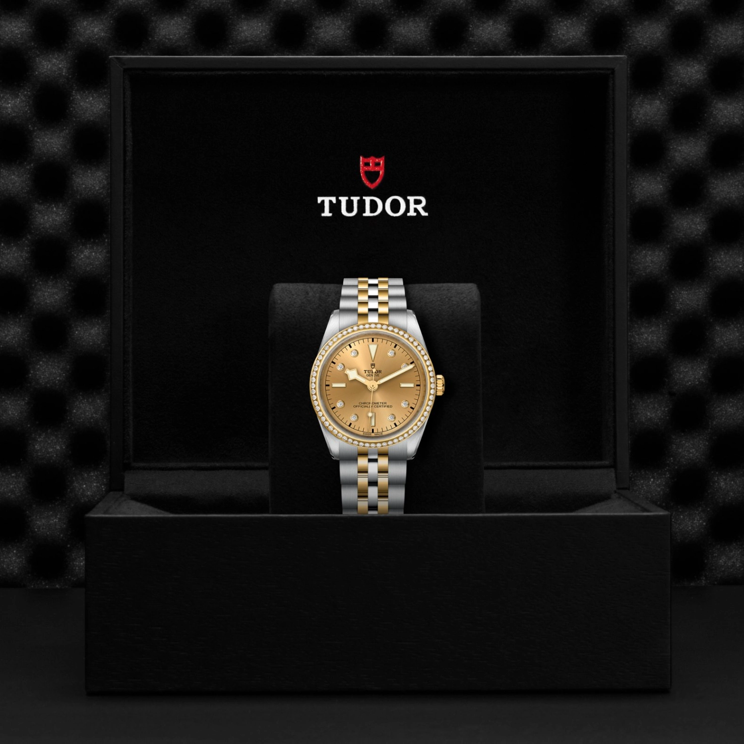 Tudor - Imagem 5
