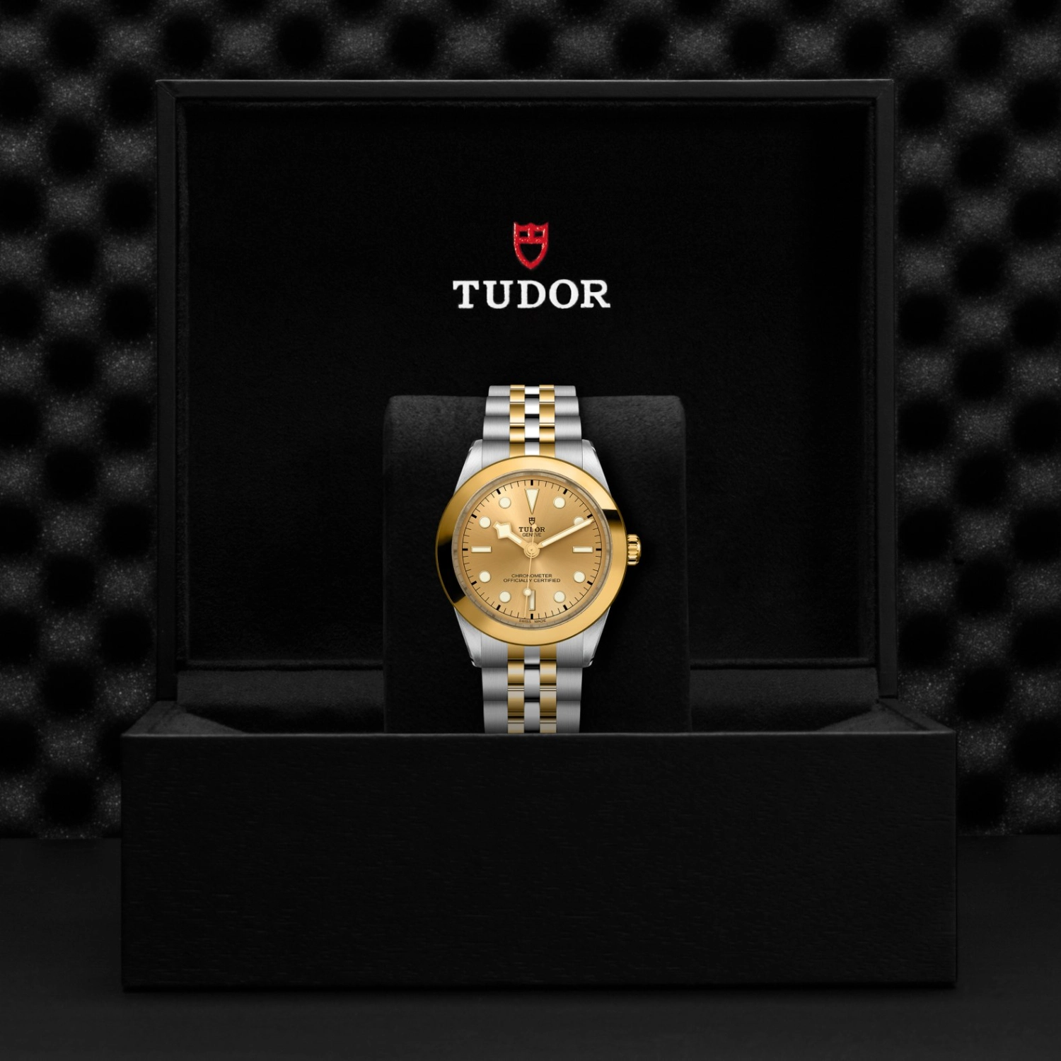 Tudor - Imagem 5