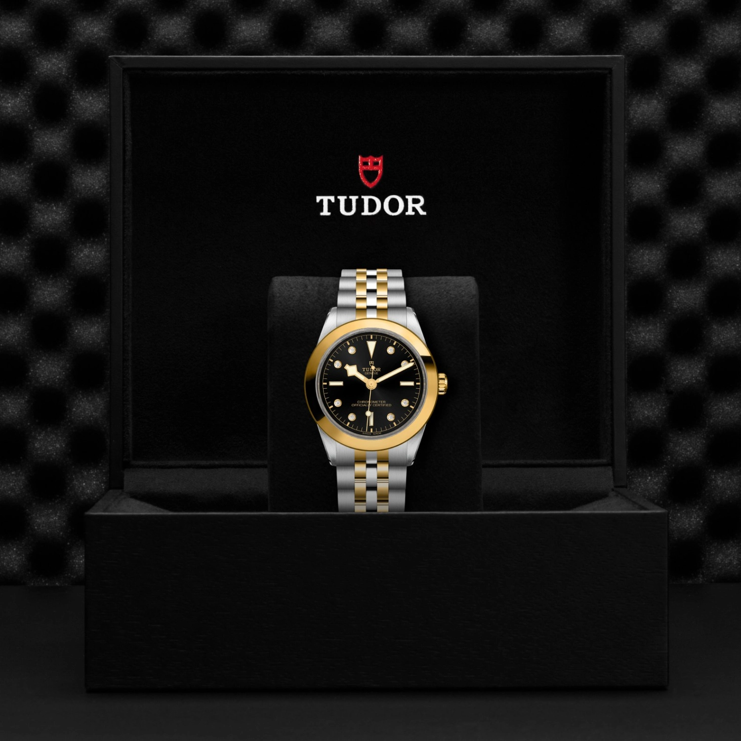 Tudor - Imagem 5