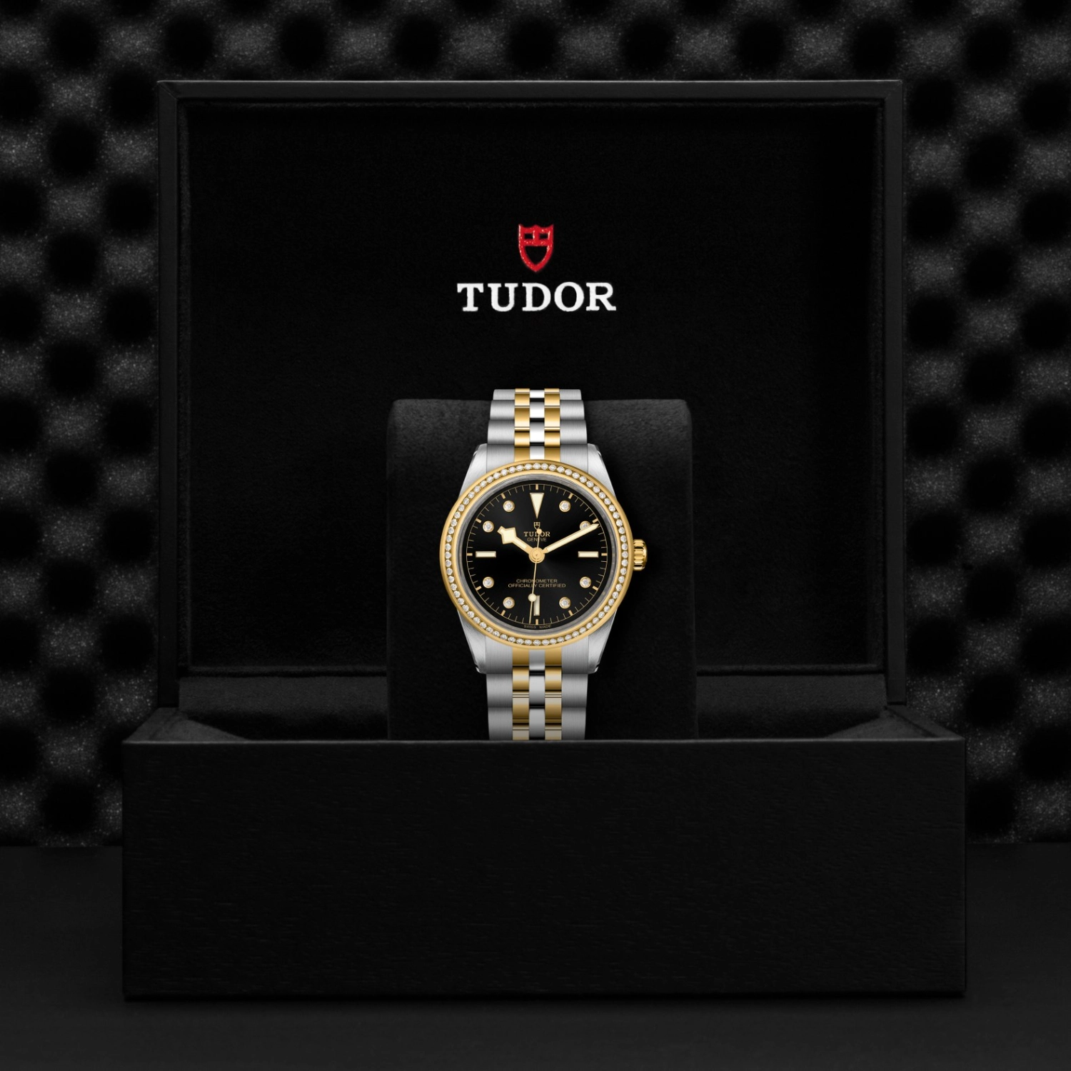 Tudor - Imagem 5