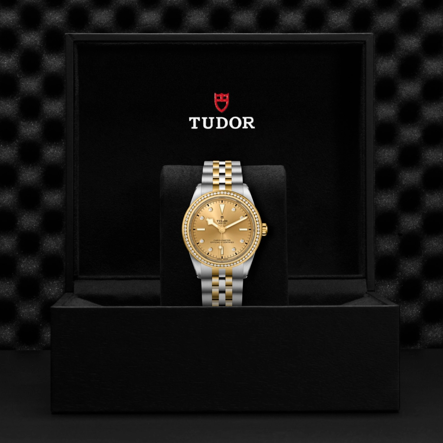 Tudor - Imagem 5