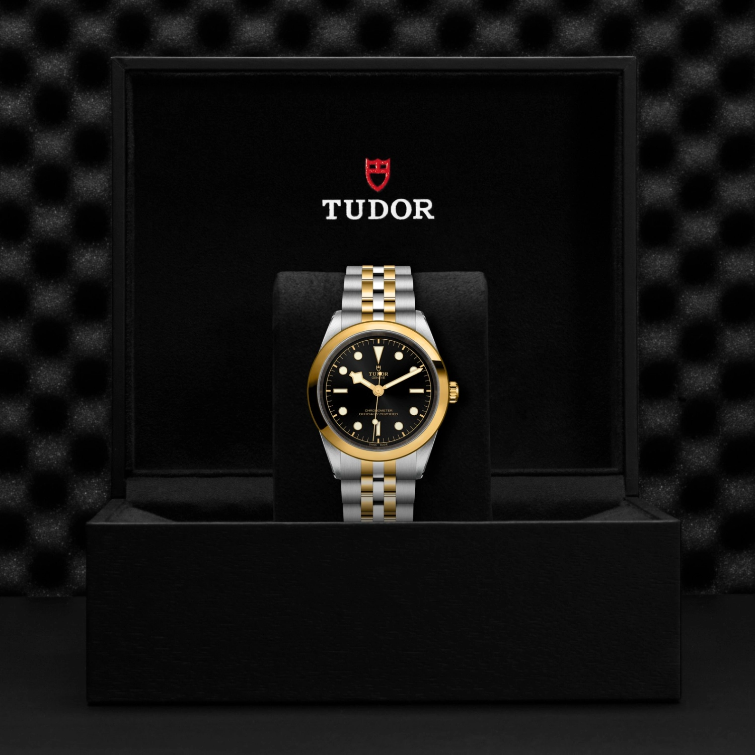 Tudor - Imagem 5
