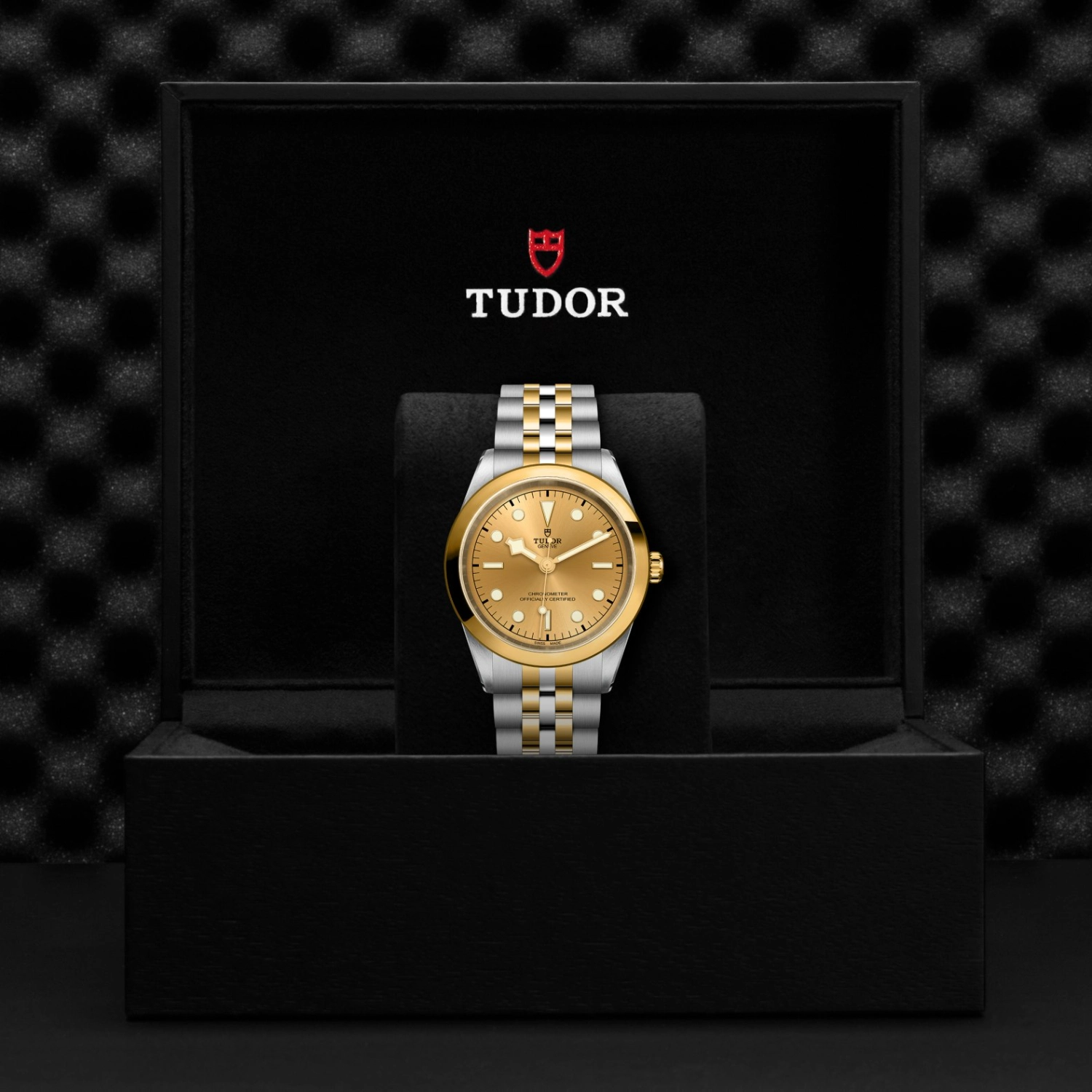 Tudor - Imagem 5