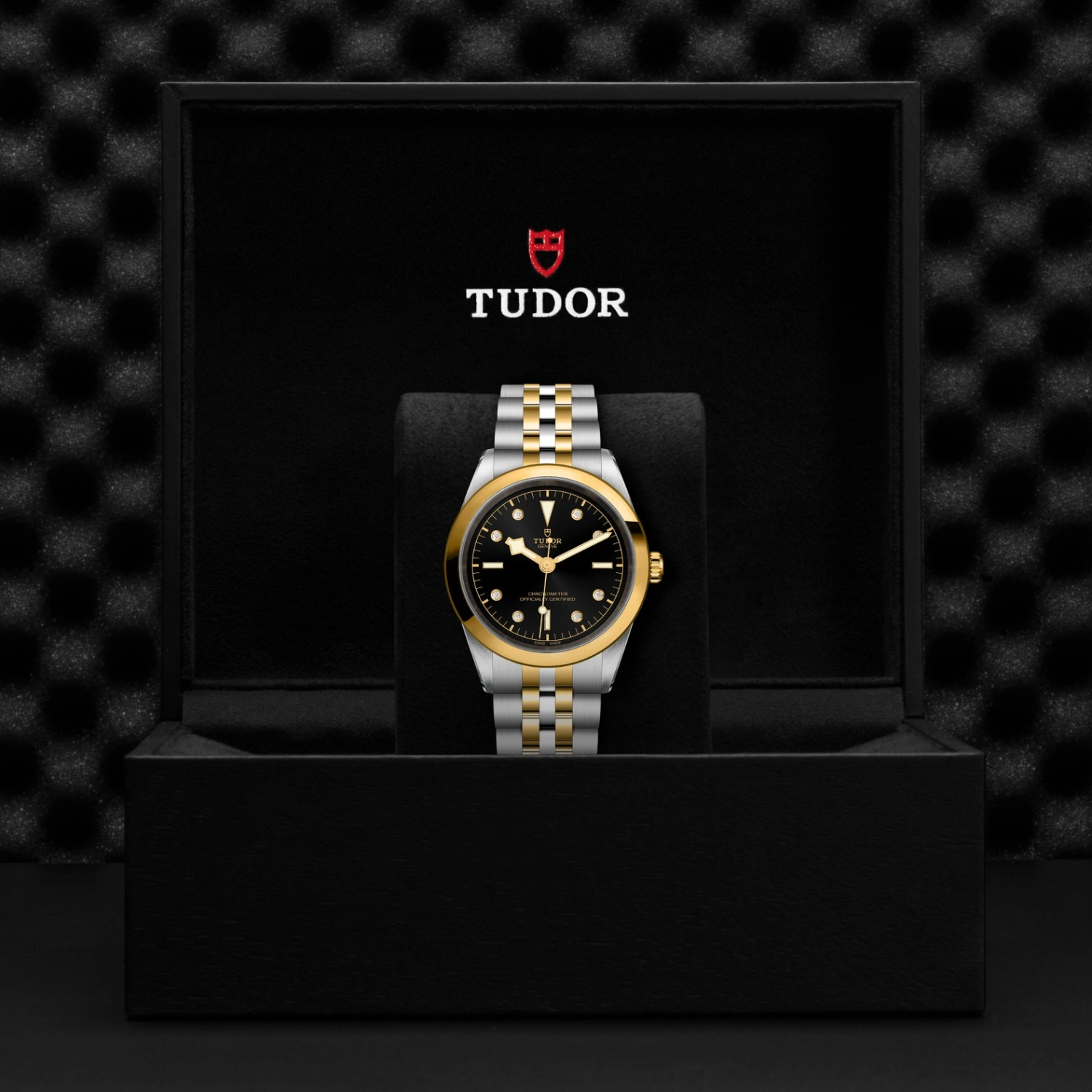 Tudor - Imagem 5