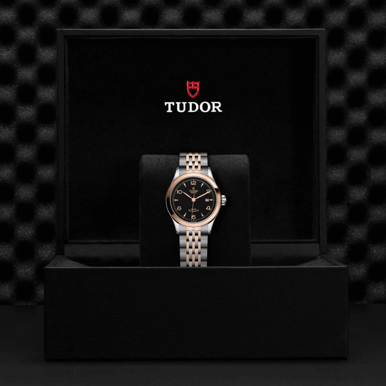 Tudor - Imagem 5