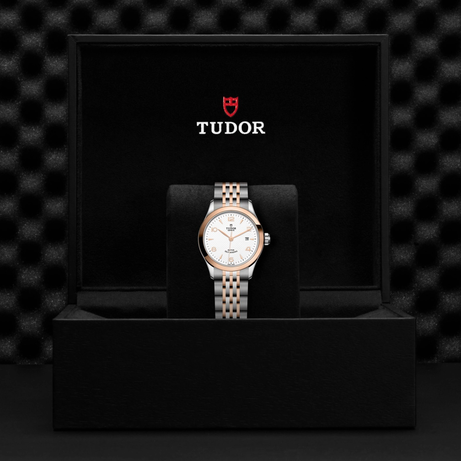 Tudor - Imagem 5